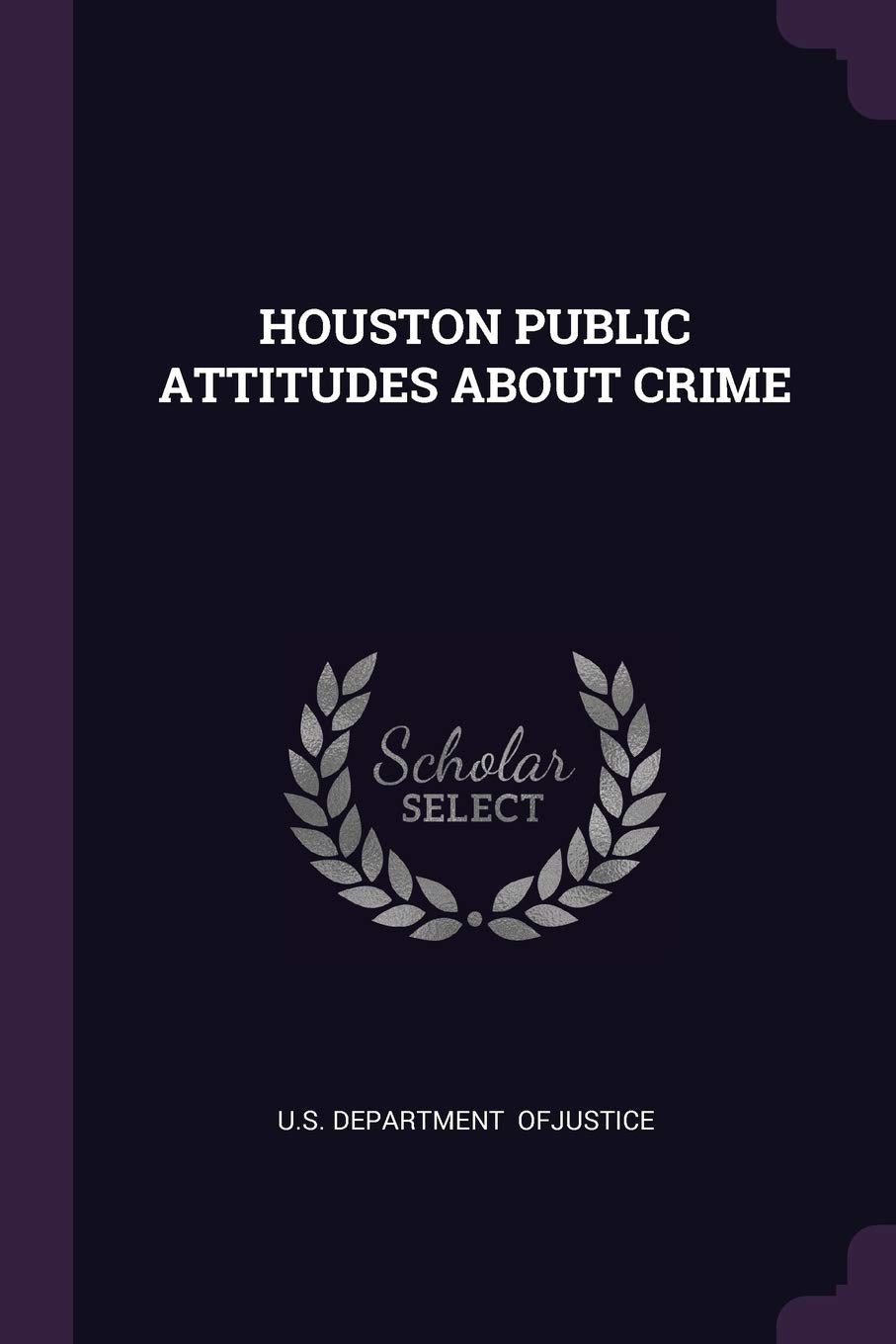 HOUSTON PUBLIC ATTITUDES ABOUT CRIME Politics & History