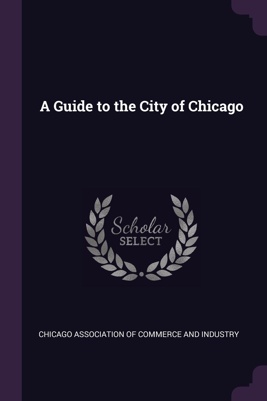A Guide to the City of Chicago Politics & History
