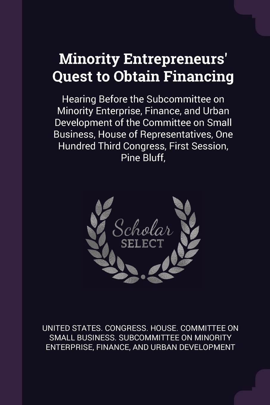 Minority Entrepreneurs' Quest to Obtain Financing: Hearing Before the Subcommittee on Minority Enterprise, Finance, and Urban Development of the ... Third Congress, First Session, Pine Bluff, Politics & History