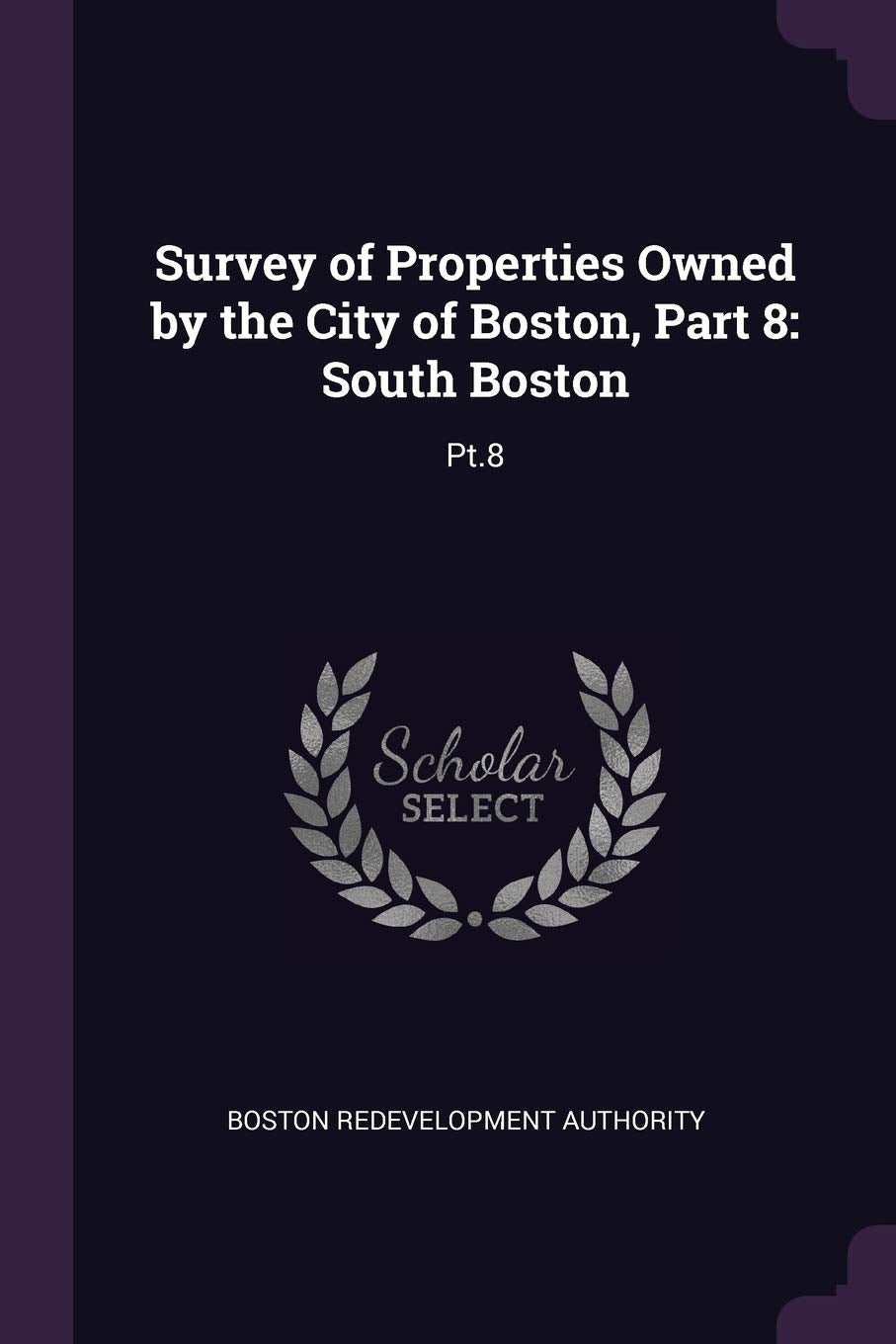 Survey of Properties Owned by the City of Boston, Part 8: South Boston: Pt.8 Politics & History