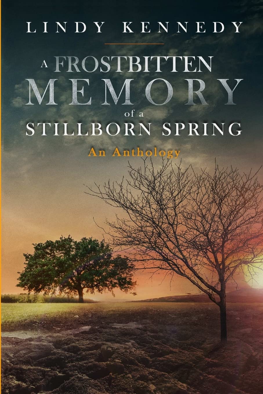A Frostbitten Memory of a Stillborn Spring: Extended Anthology Poetry