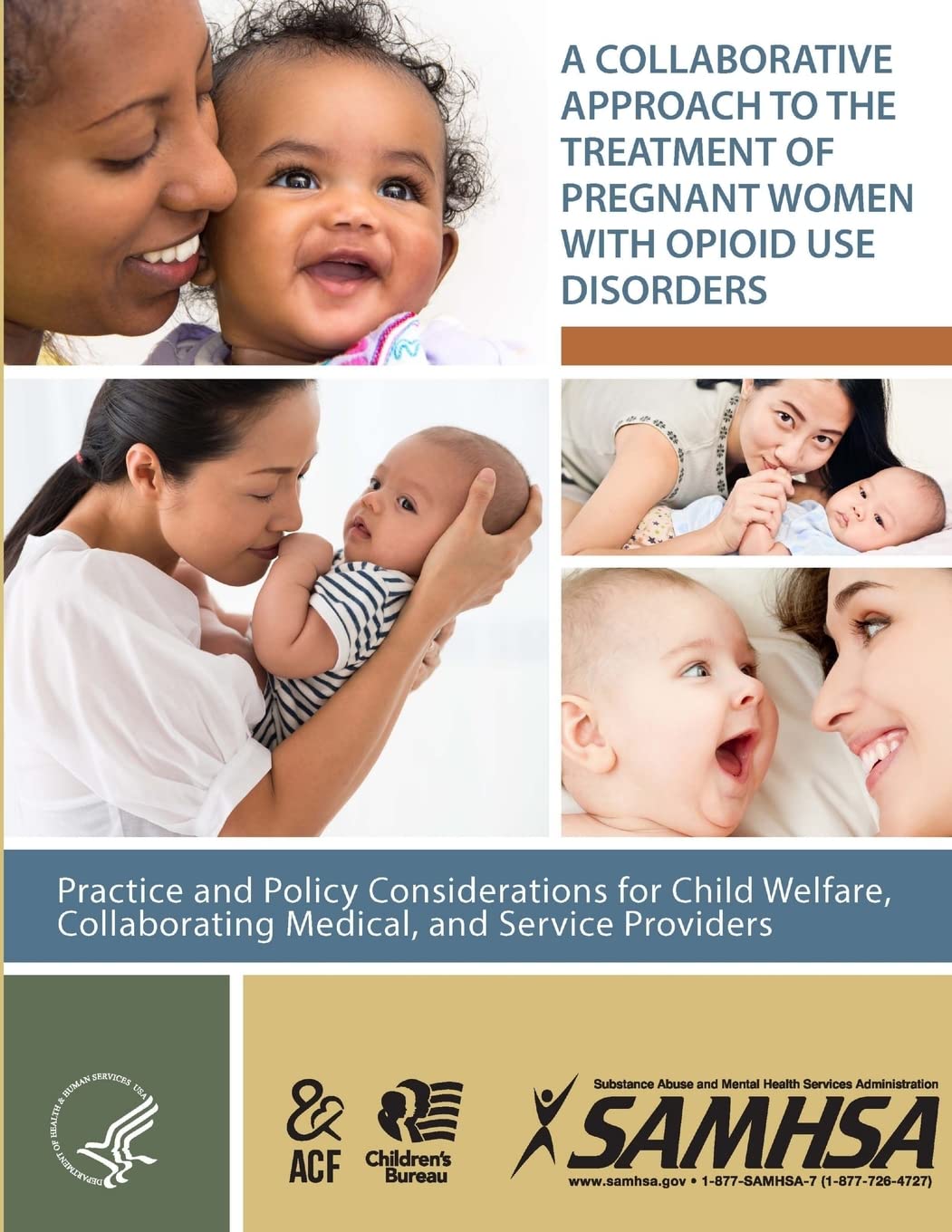 A Collaborative Approach to the Treatment of Pregnant Women With Opioid Use Disorders Reference Books