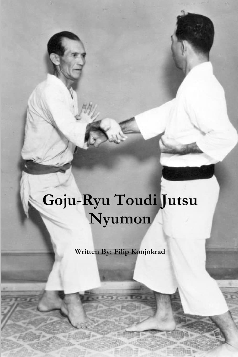Goju-Ryu Toudi Jutsu Nyumon Leisure & Fun
