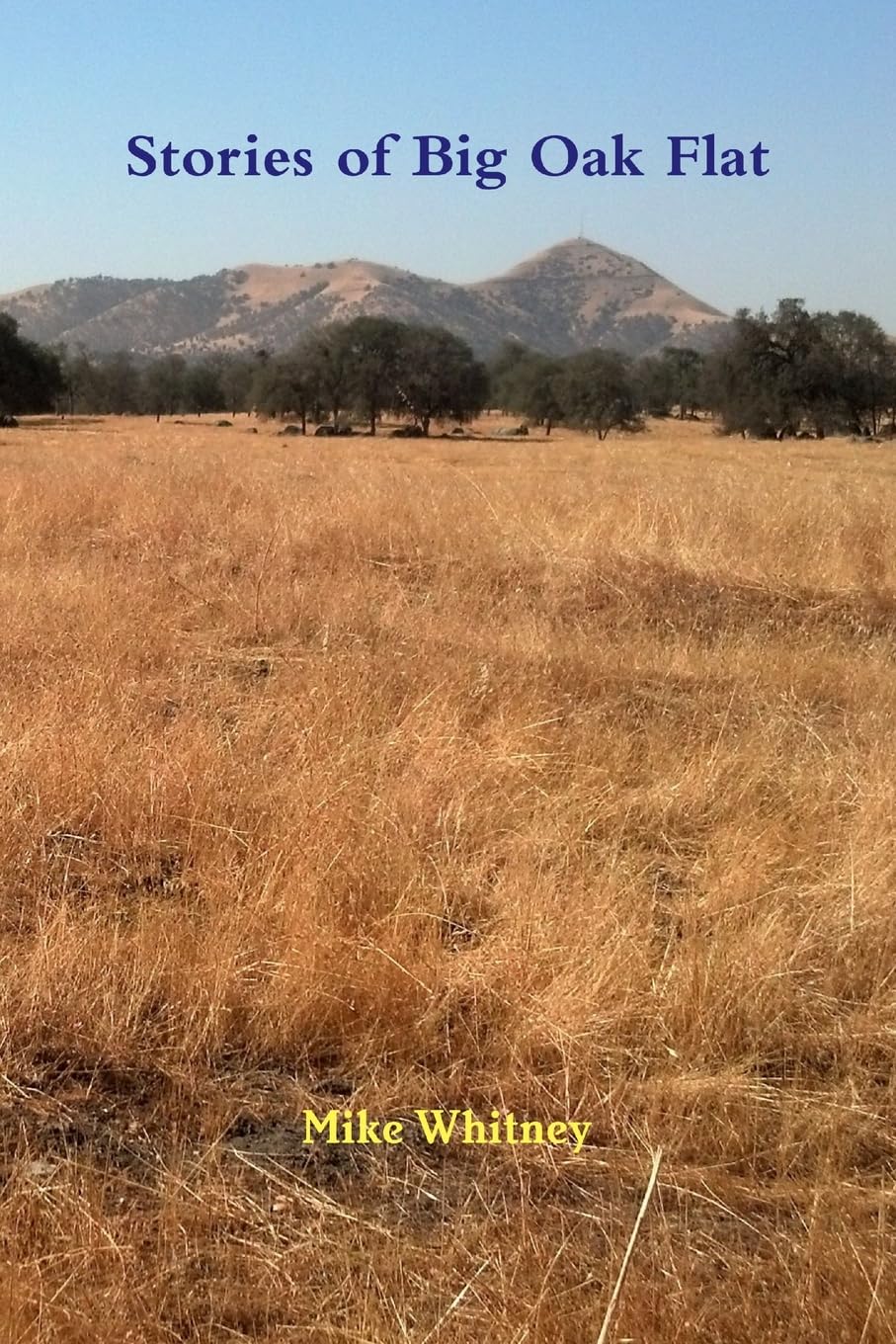 Stories of Big Oak Flat Politics & History