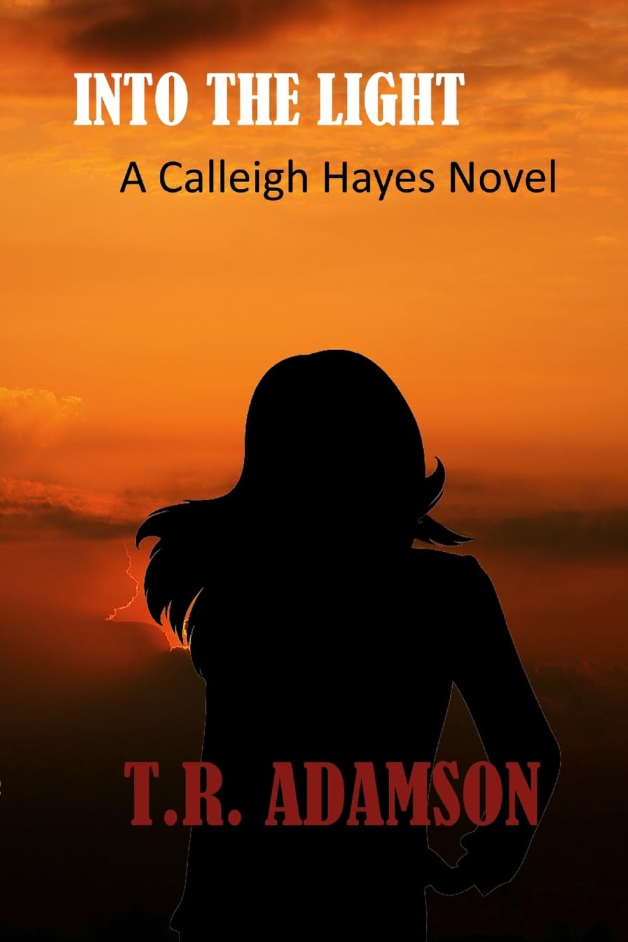 Into the Light A Calleigh Hayes Novel Contemporary literature