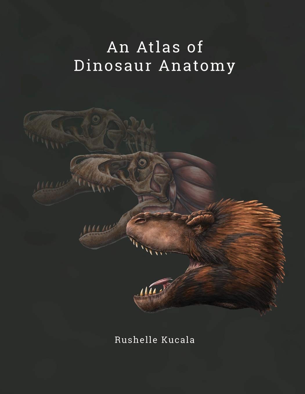 An Atlas of Dinosaur Anatomy Medicine