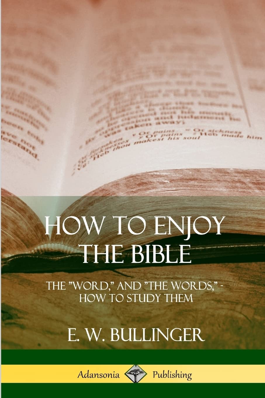 How to Enjoy the Bible: The "Word," and "The Words,", How to Study them book