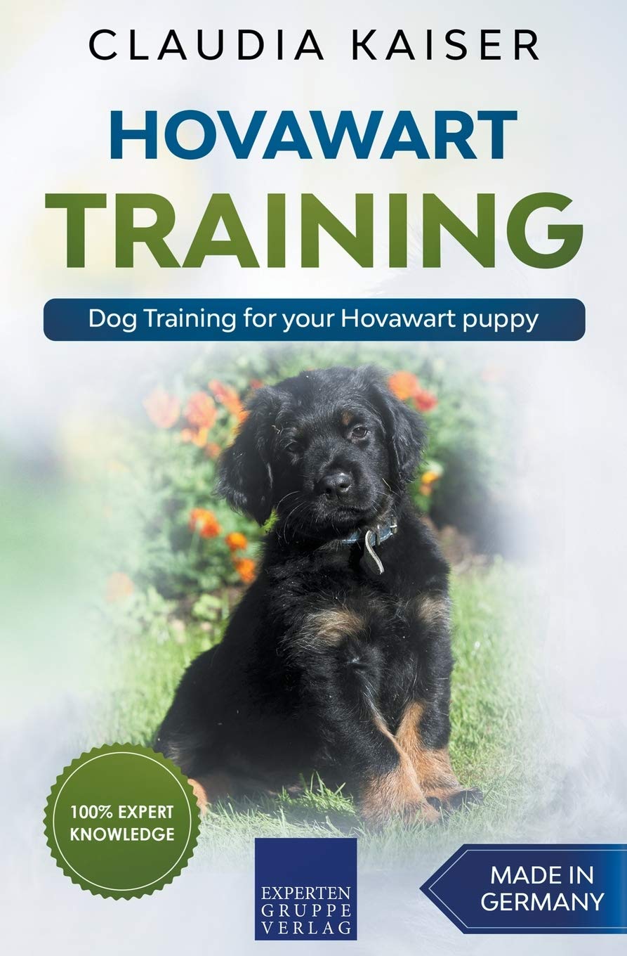 Hovawart Training - Dog Training for your Hovawart puppy Pets