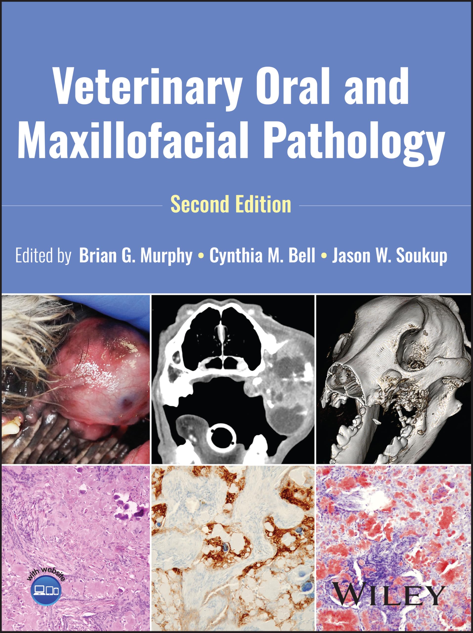 Veterinary Oral and Maxillofacial Pathology Medicine