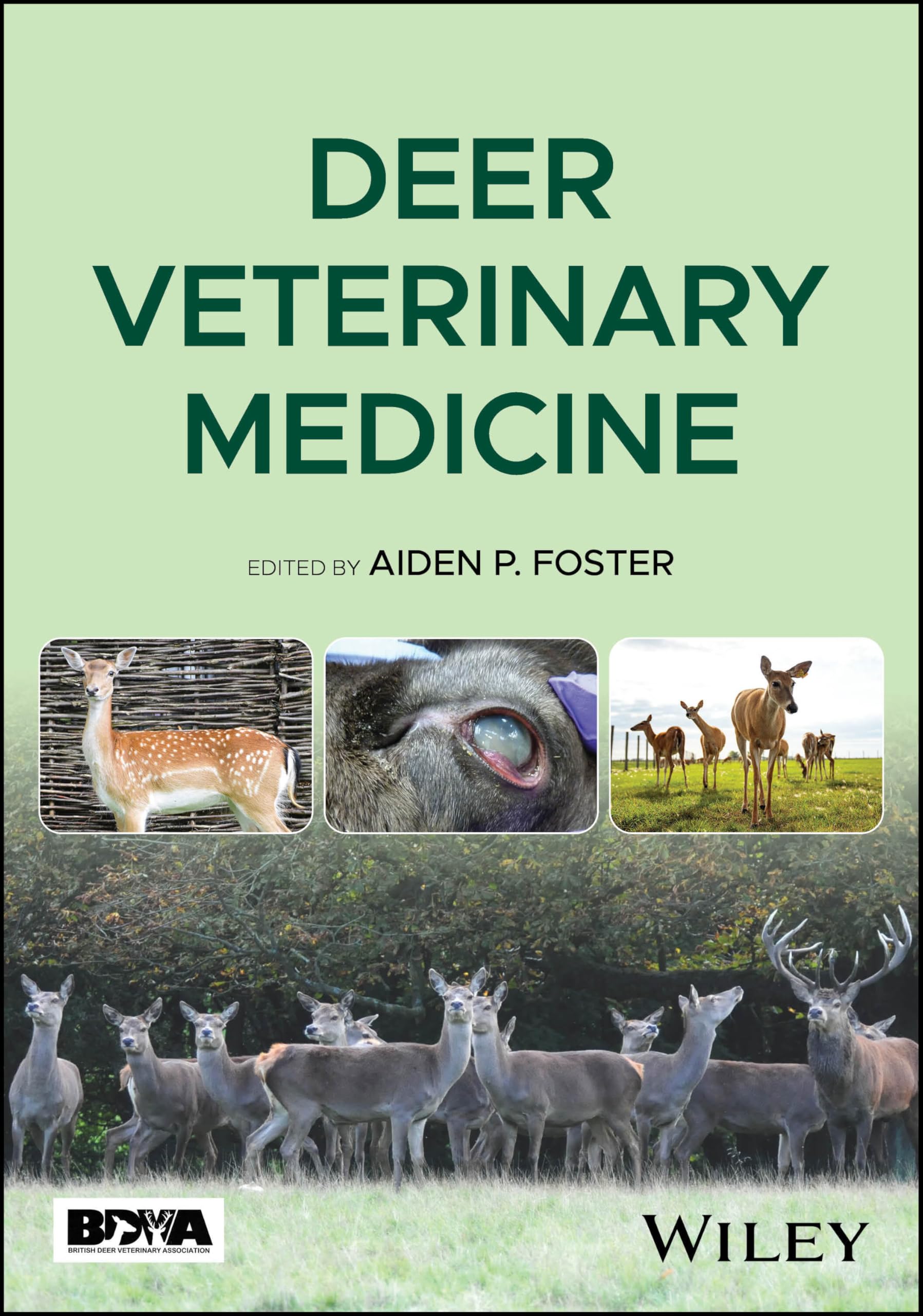Deer Veterinary Medicine Medicine