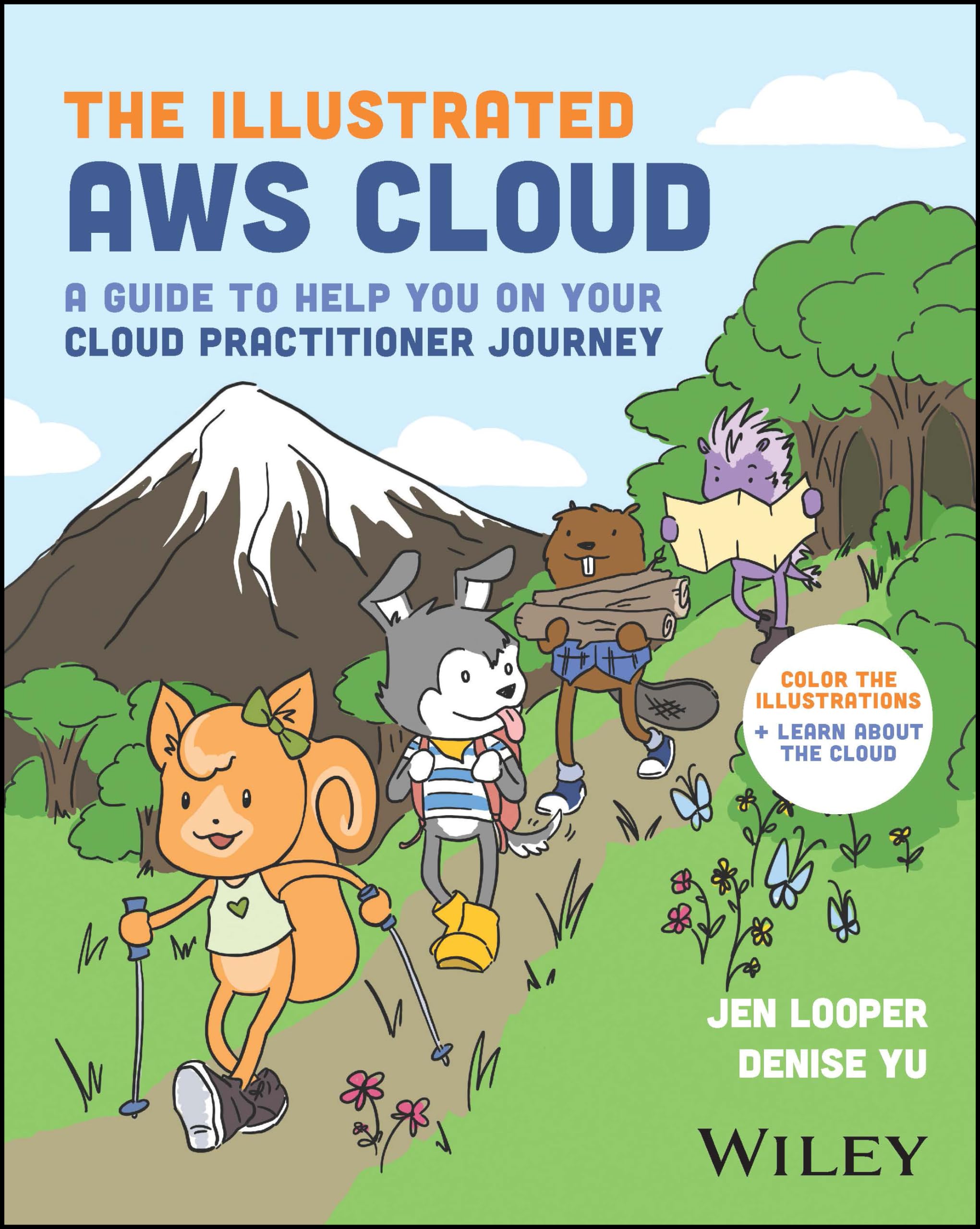 The Illustrated AWS Cloud: A Guide to Help You on Your Cloud Practitioner Journey book