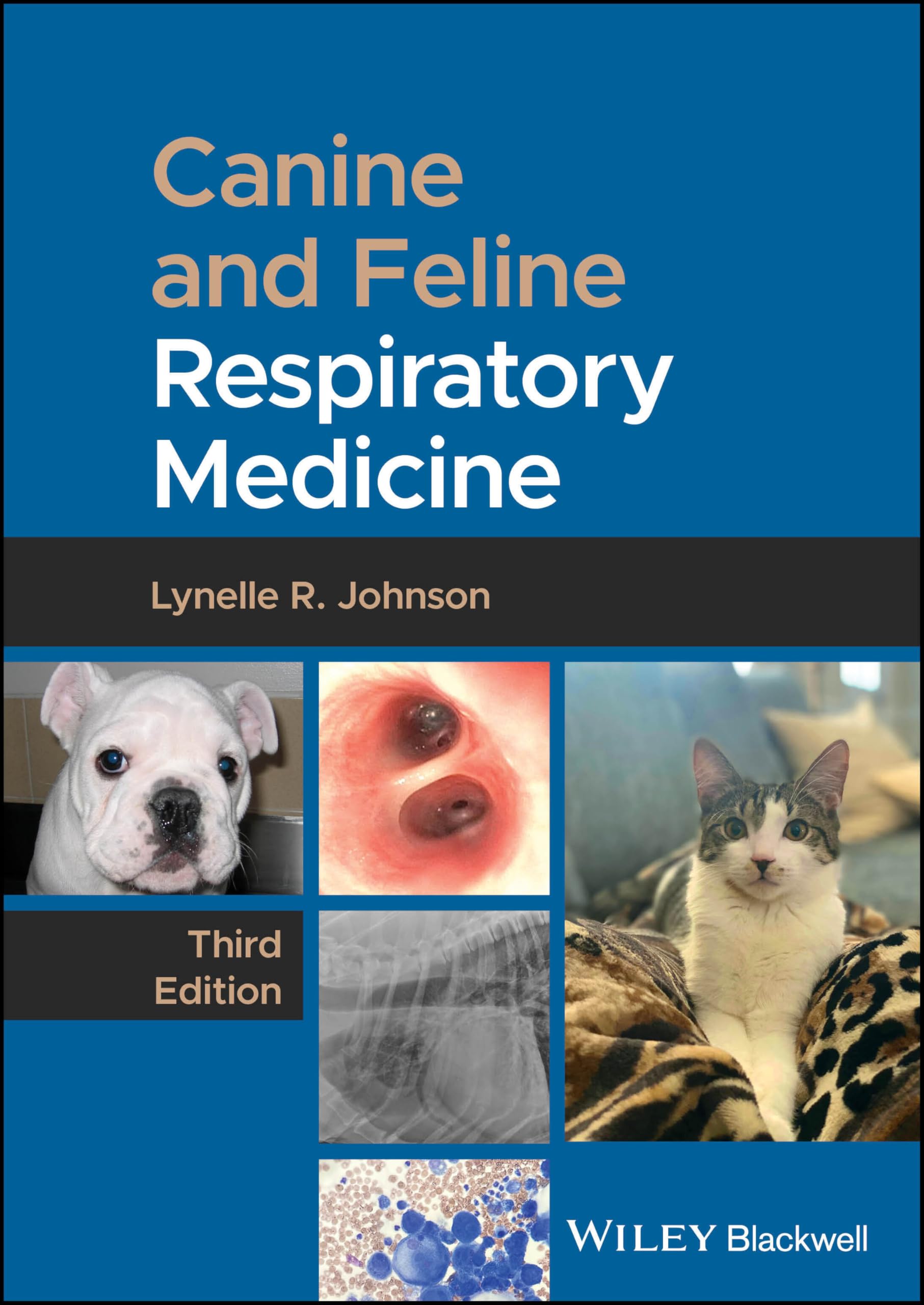 Canine and Feline Respiratory Medicine Medicine