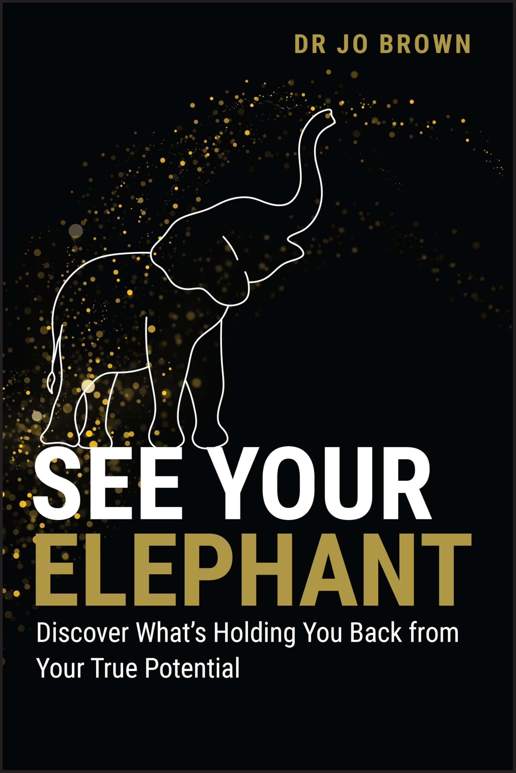 See Your Elephant: Discover What's Holding You Back from Your True Potential Business, Finance & Career