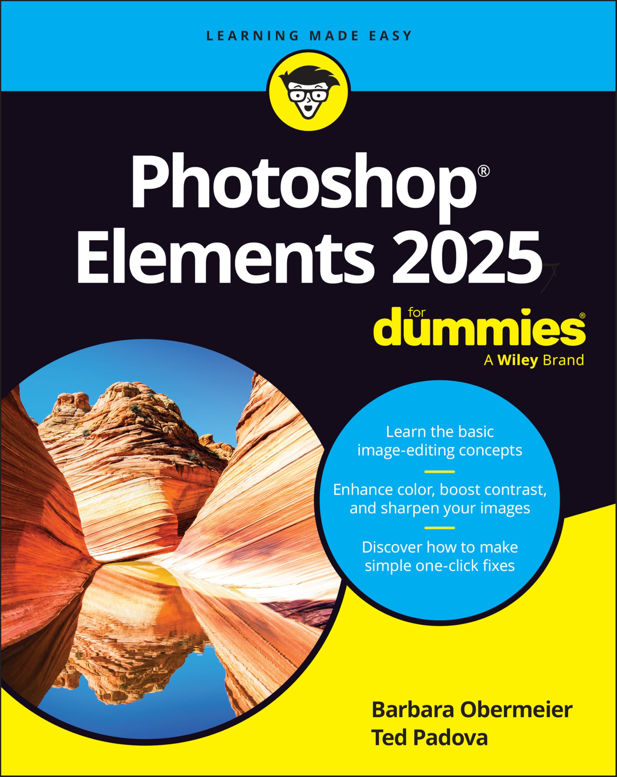 Photoshop Elements 2025 for Dummies Hobbies & Crafts