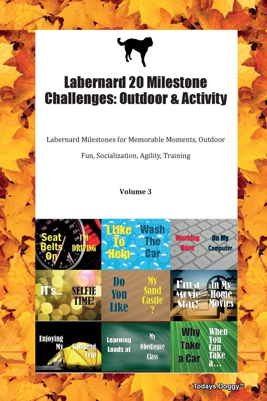 Labernard 20 Milestone Challenges: Outdoor & Activity Labernard Milestones for Memorable Moments, Outdoor Fun, Socialization, Agility, Training Volume 3 Books