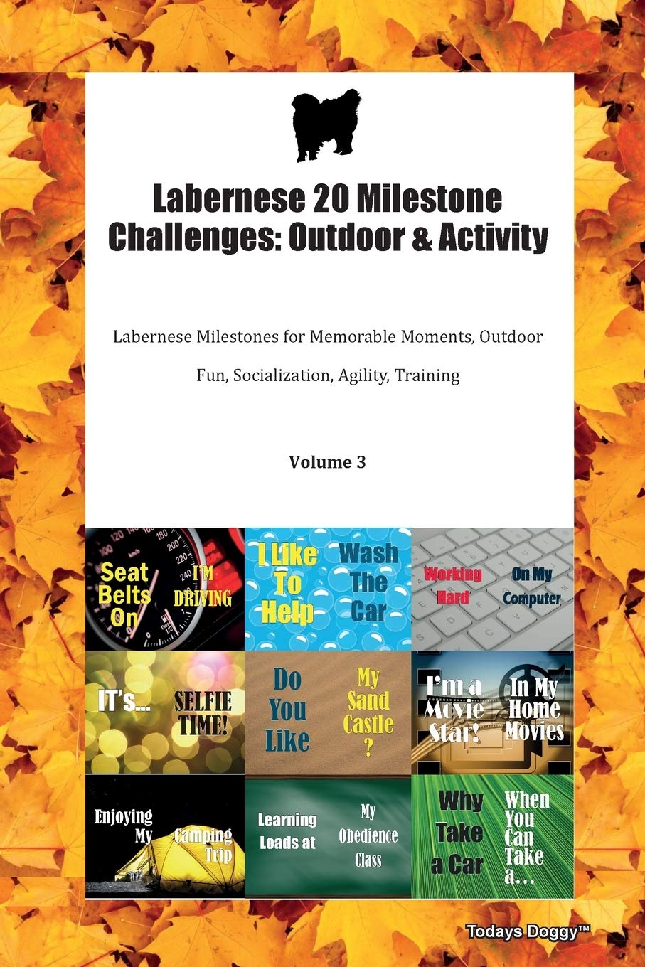 Labernese 20 Milestone Challenges: Outdoor & Activity Labernese Milestones for Memorable Moments, Outdoor Fun, Socialization, Agility, Training Volume 3 Books