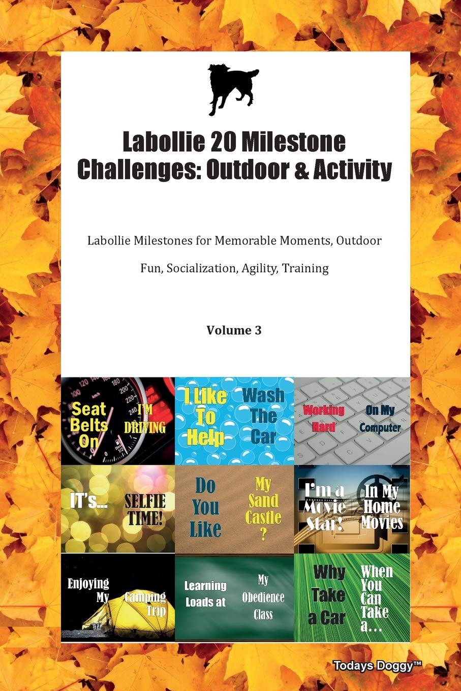 Labollie 20 Milestone Challenges: Outdoor & Activity Labollie Milestones for Memorable Moments, Outdoor Fun, Socialization, Agility, Training Volume 3 Books