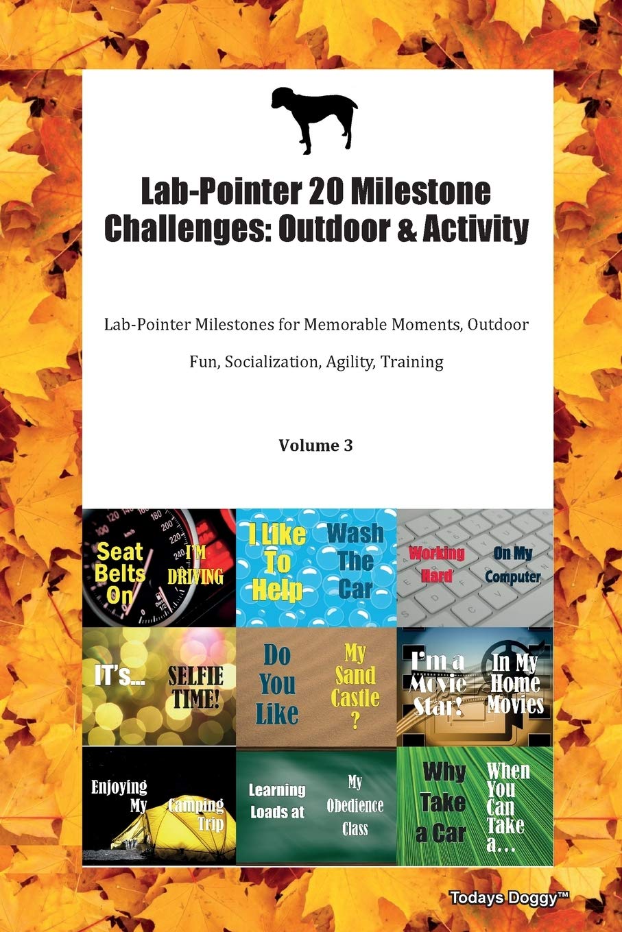 Lab-Pointer 20 Milestone Challenges: Outdoor & Activity Lab-Pointer Milestones for Memorable Moments, Outdoor Fun, Socialization, Agility, Training Volume 3 Books