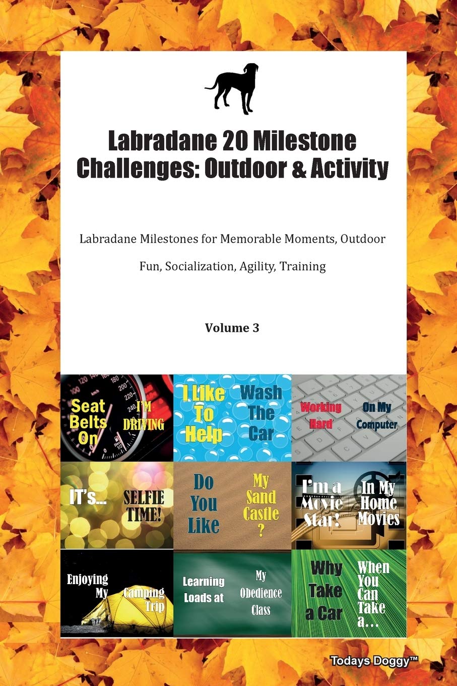 Labradane 20 Milestone Challenges: Outdoor & Activity Labradane Milestones for Memorable Moments, Outdoor Fun, Socialization, Agility, Training Volume 3 Books