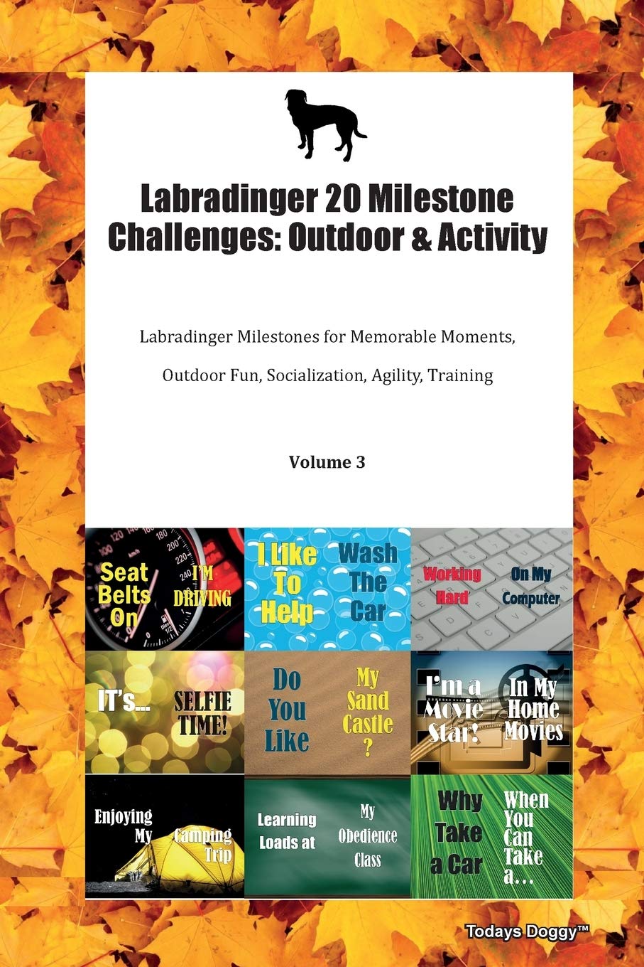 Labradinger 20 Milestone Challenges: Outdoor & Activity Labradinger Milestones for Memorable Moments, Outdoor Fun, Socialization, Agility, Training Volume 3 Books