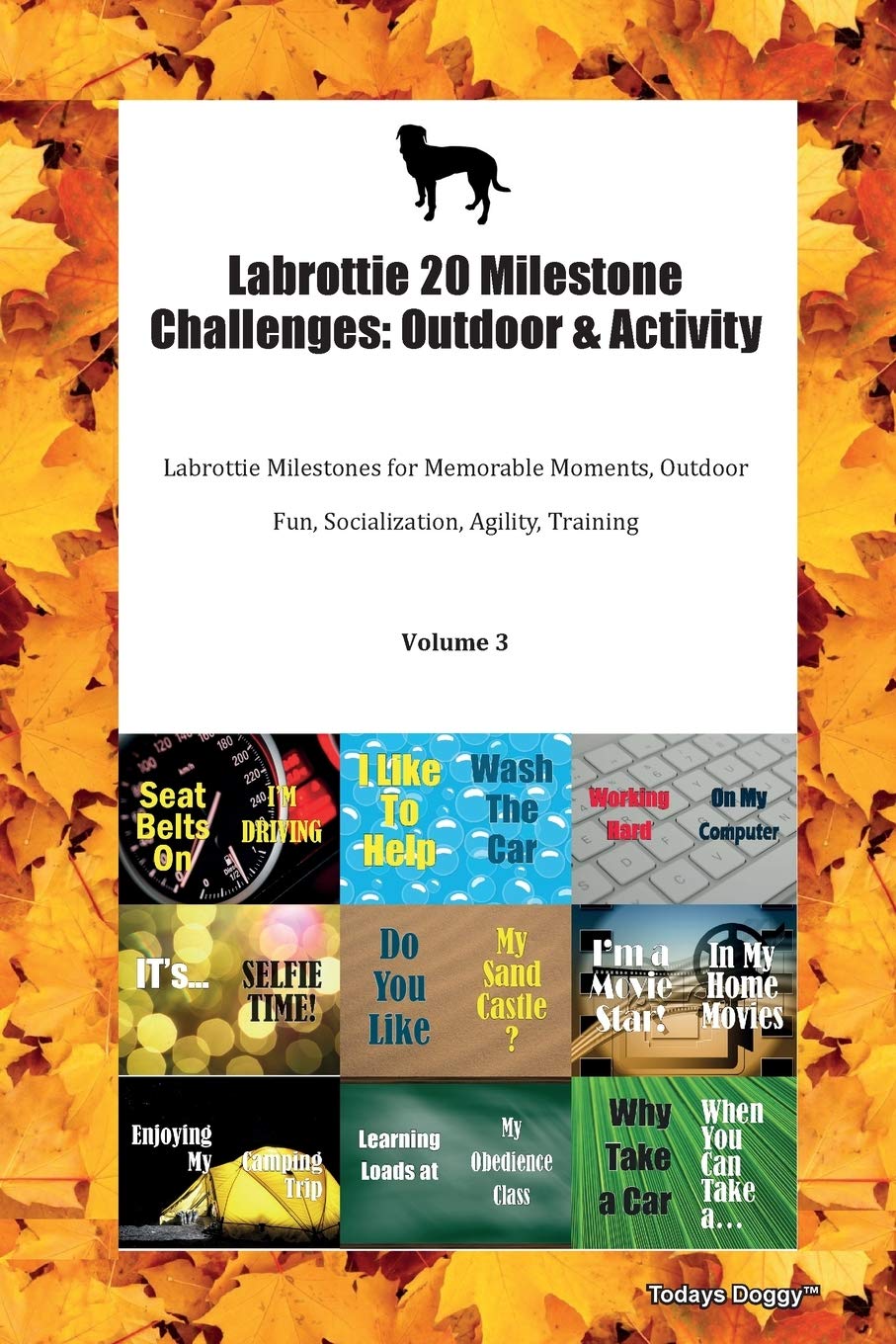 Labrottie 20 Milestone Challenges: Outdoor & Activity Labrottie Milestones for Memorable Moments, Outdoor Fun, Socialization, Agility, Training Volume 3 Books
