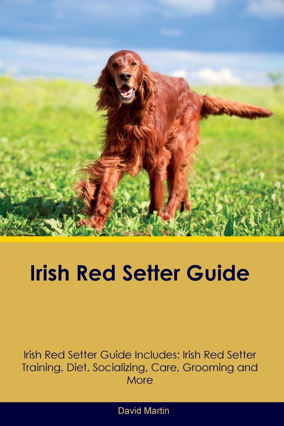 Irish Red Setter Guide Irish Red Setter Guide Includes: Irish Red Setter Training, Diet, Socializing, Care, Grooming, and More Pets
