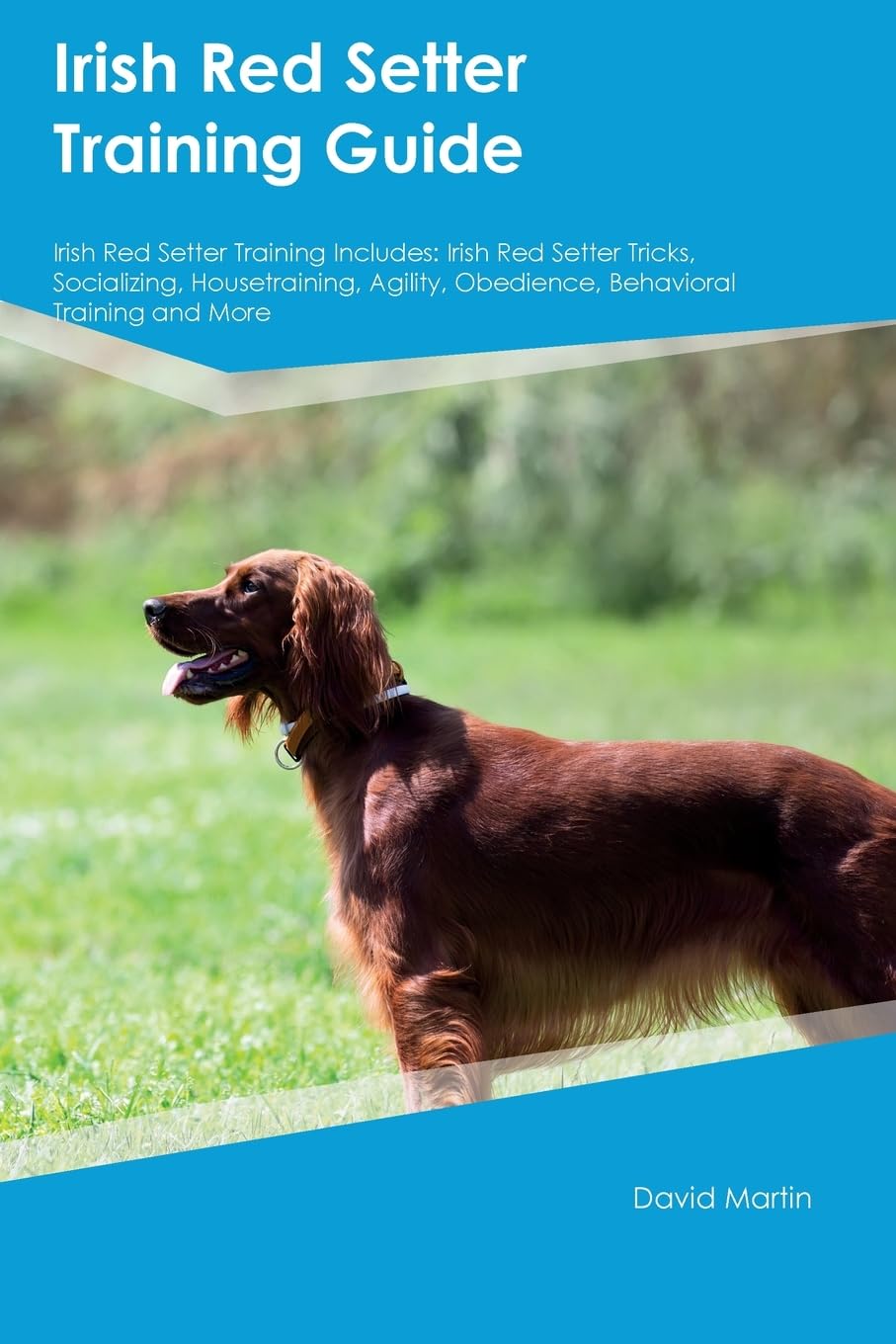 Irish Red Setter Training Guide Irish Red Setter Training Includes: Irish Red Setter Tricks, Socializing, Housetraining, Agility, Obedience, Behavioral Training, and More Pets