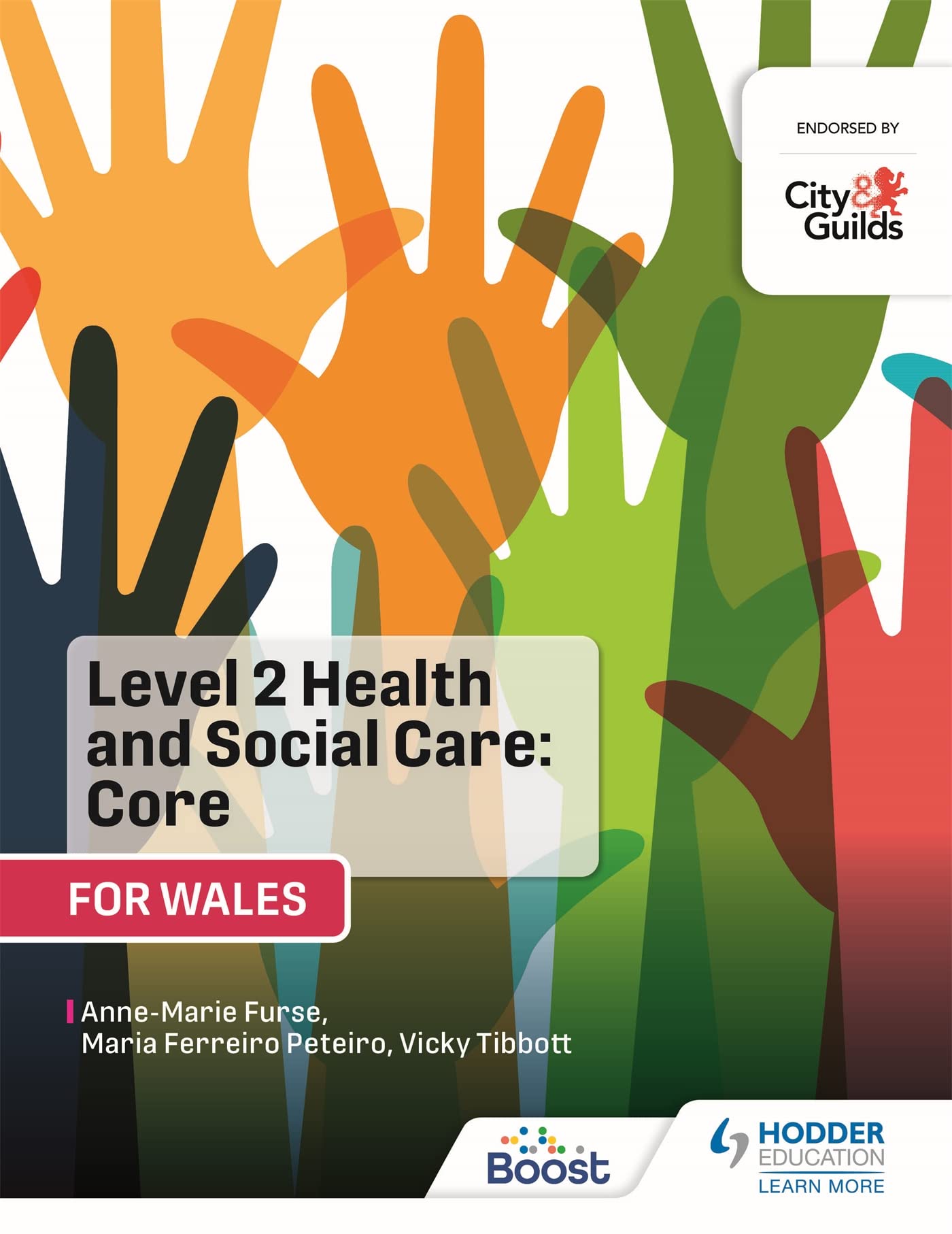 Level 2 Health and Social Care: Core (for Wales): For City & Guilds/WJEC Professional & Reference Books
