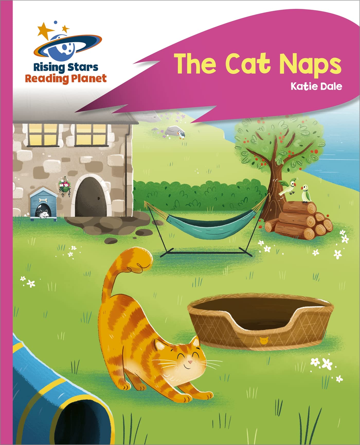 Reading Planet - The Cat Naps - Pink C: Rocket Phonics (Rising Stars Reading Planet) Education & Training
