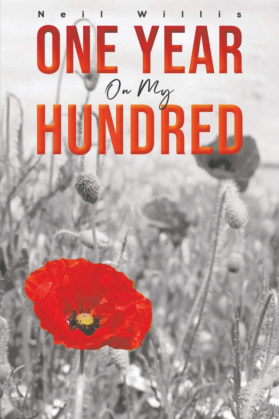 Product Image: One Year on My Hundred