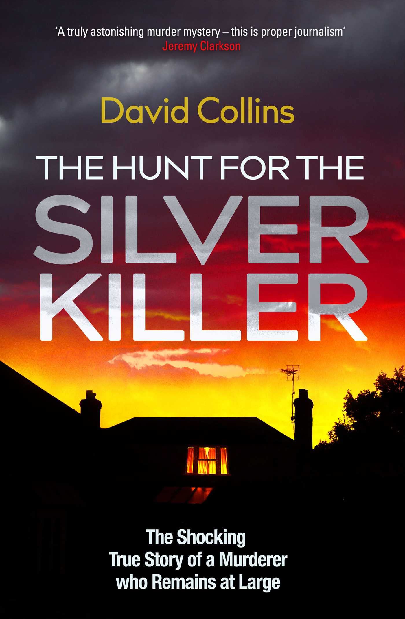 The Hunt for the Silver Killer: The Shocking True Story of a Murderer who Remains at Large book