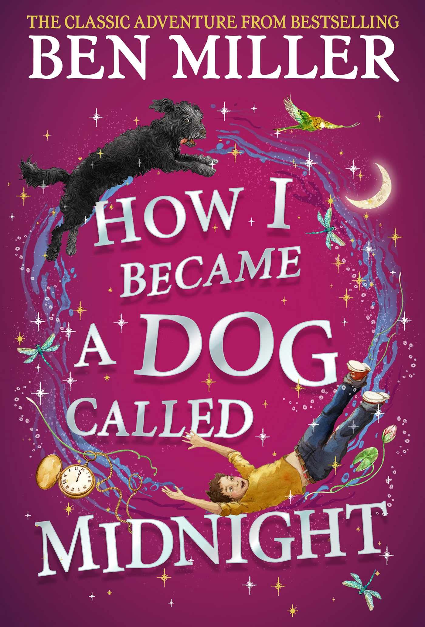 How I Became a Dog Called Midnight: A magical adventure from the bestselling author of The Day I Fell Into a Fairytale Non-fiction