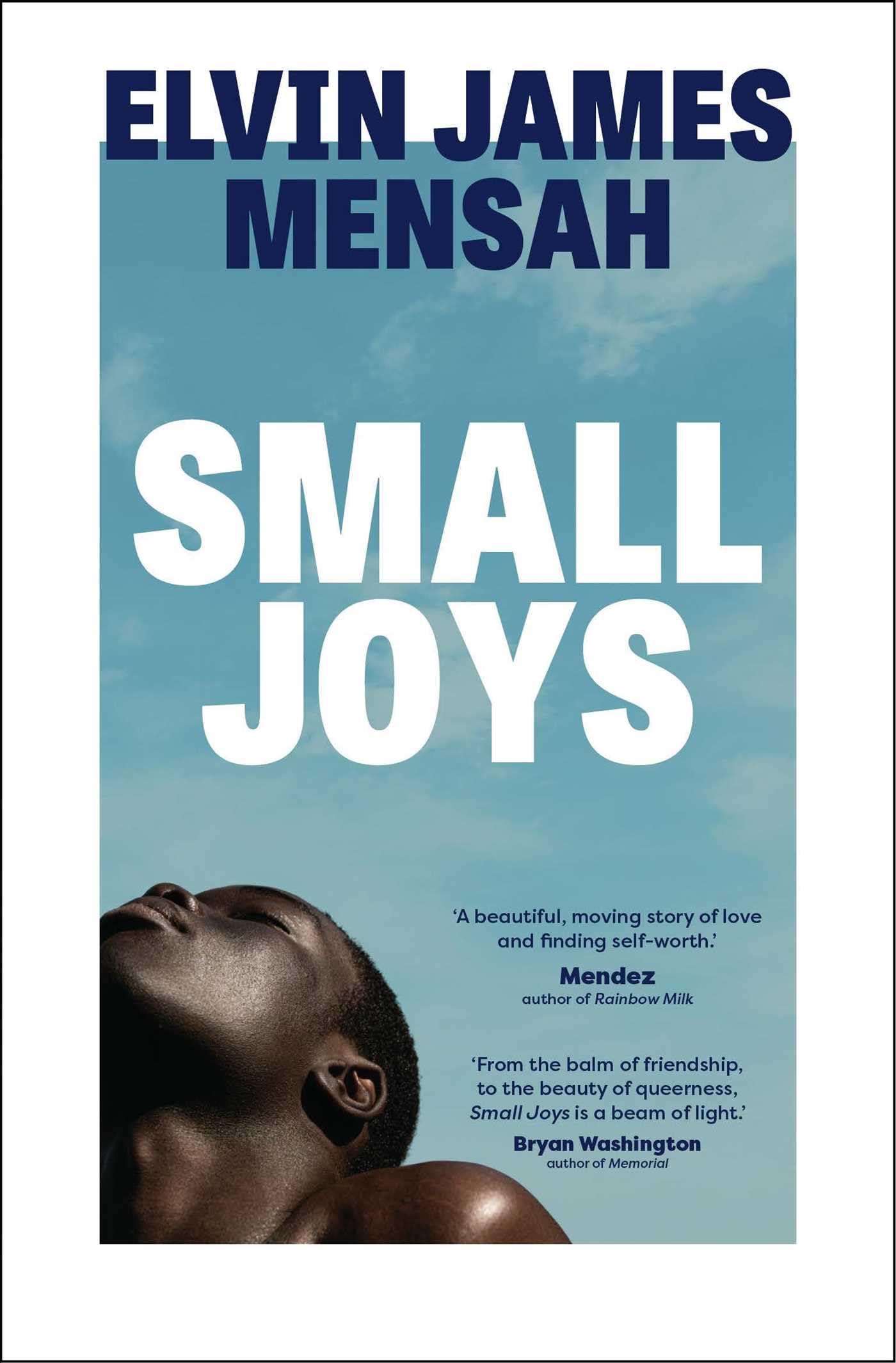 Product Image: Small Joys