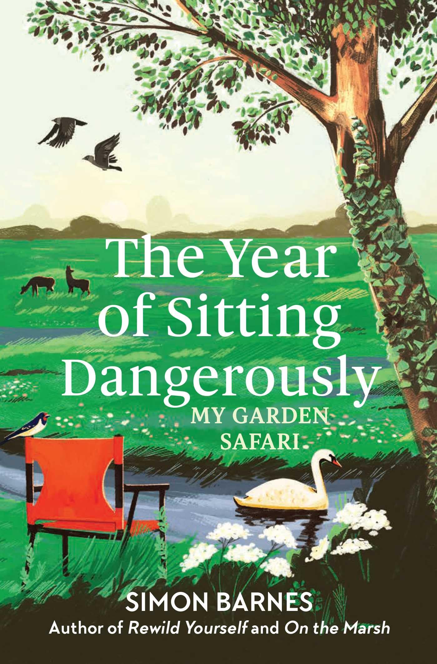 The Year of Sitting Dangerously: My Garden Safari Memories