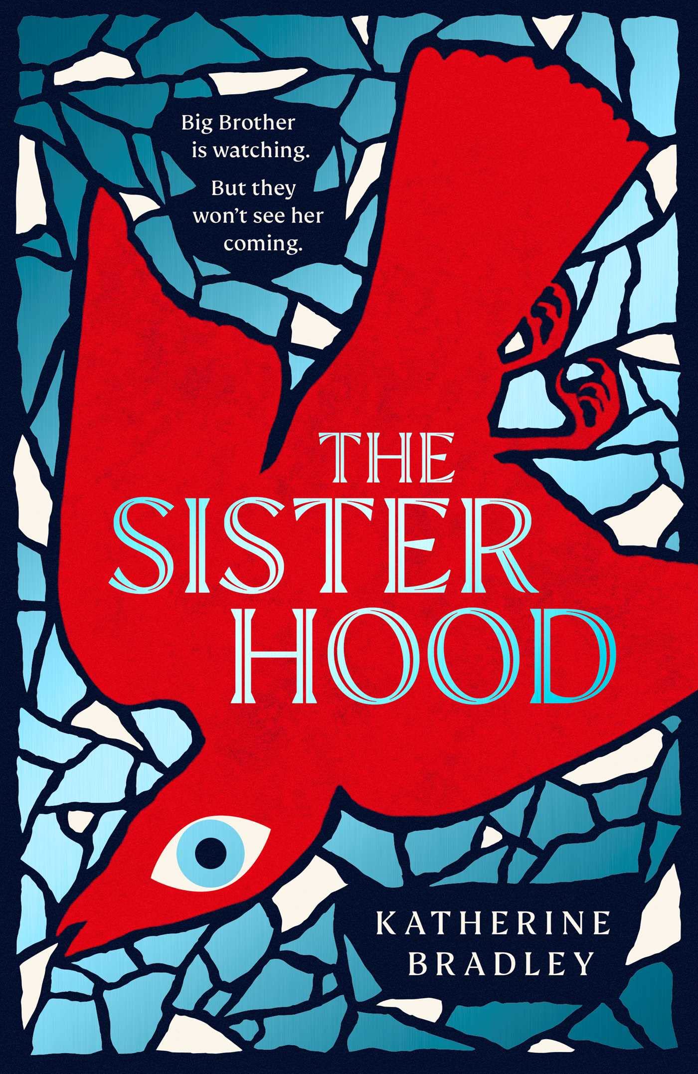 The Sisterhood Contemporary literature