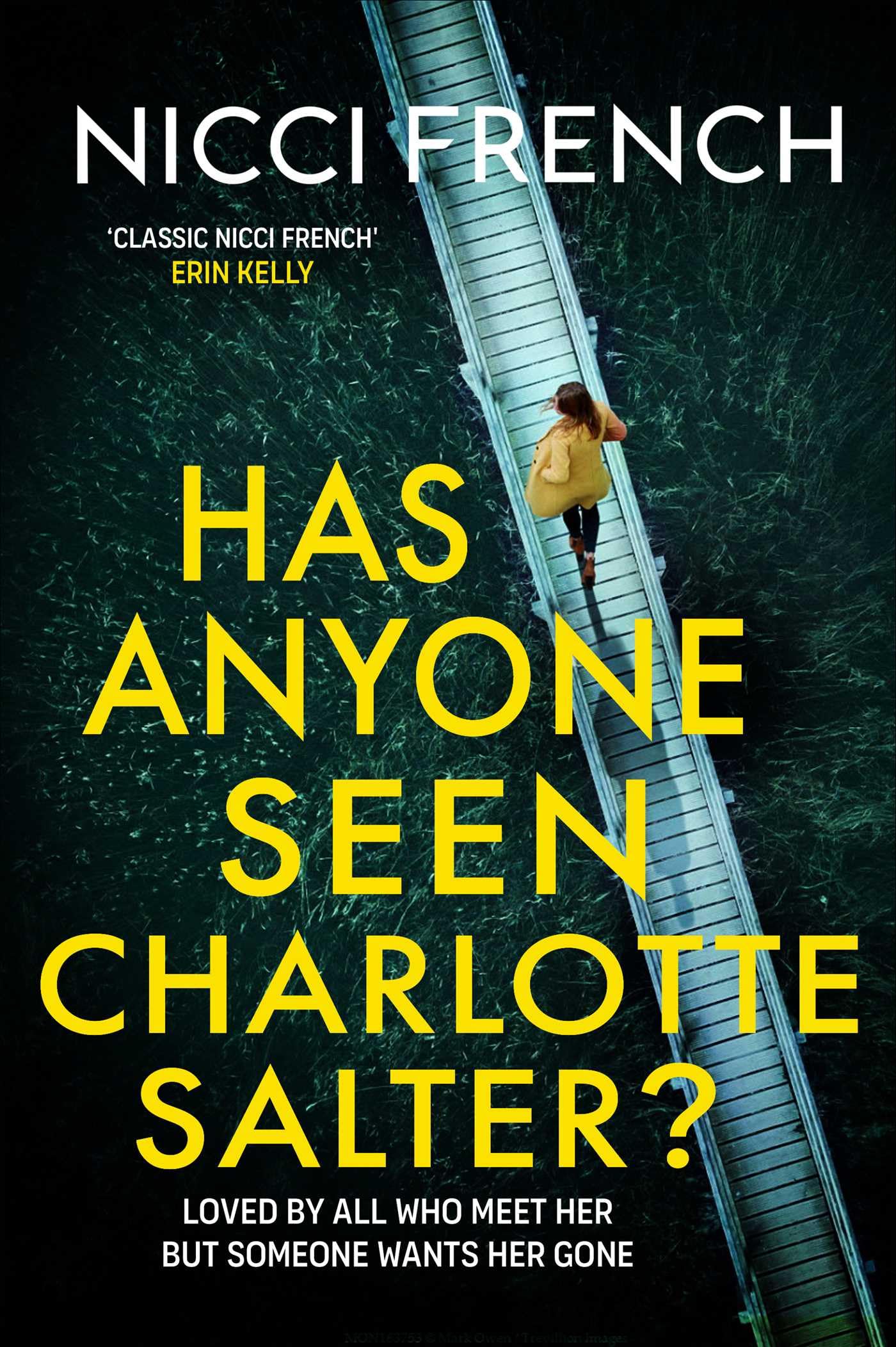 Has Anyone Seen Charlotte Salter? Contemporary literature