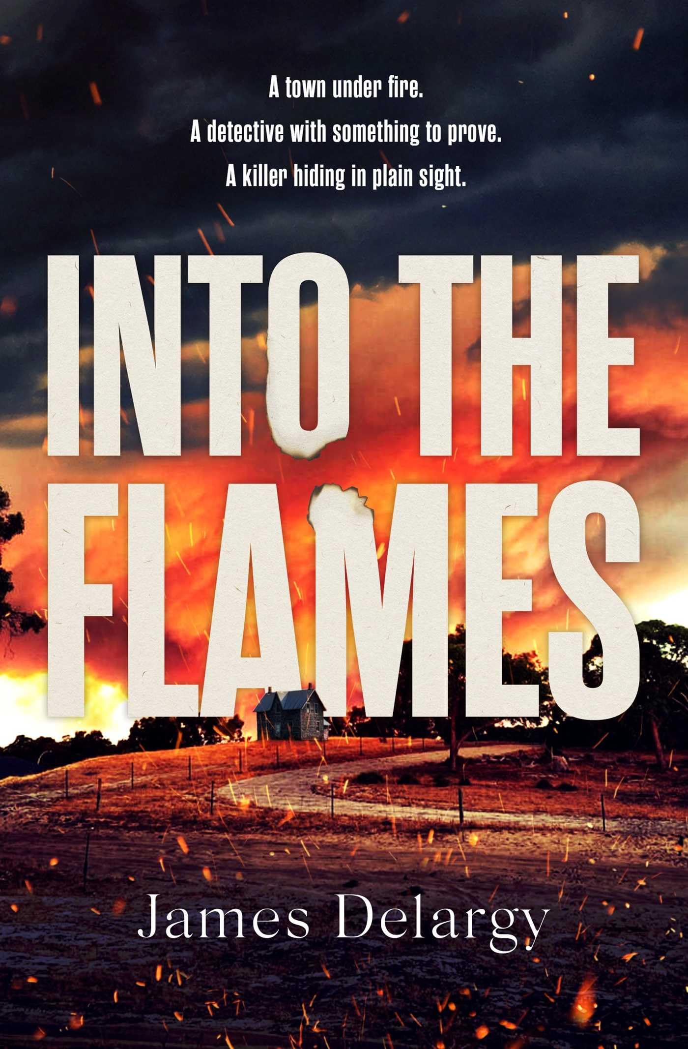 Into the Flames: The scorching new summer thriller Contemporary literature