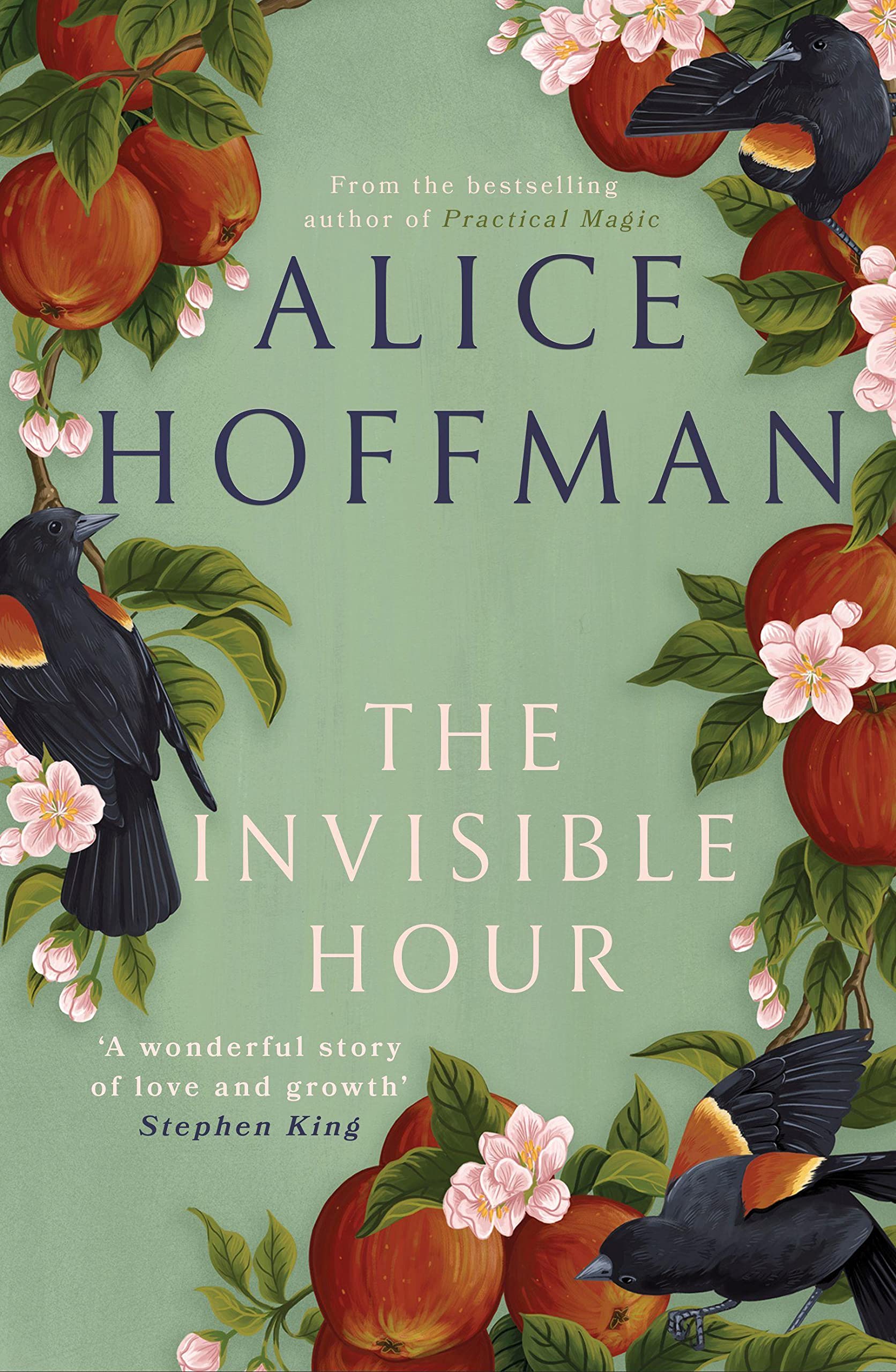 The Invisible Hour Contemporary literature Books