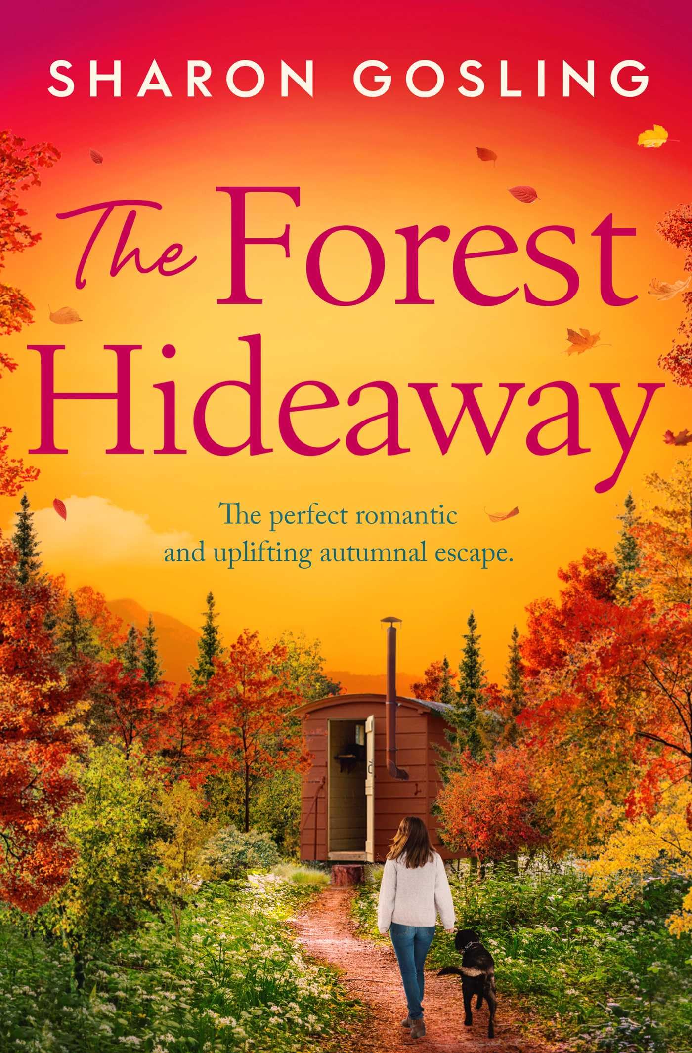 The Forest Hideaway: Enjoy 'the perfect autumn escape' from the author of The Lighthouse Bookshop Holiday Reading