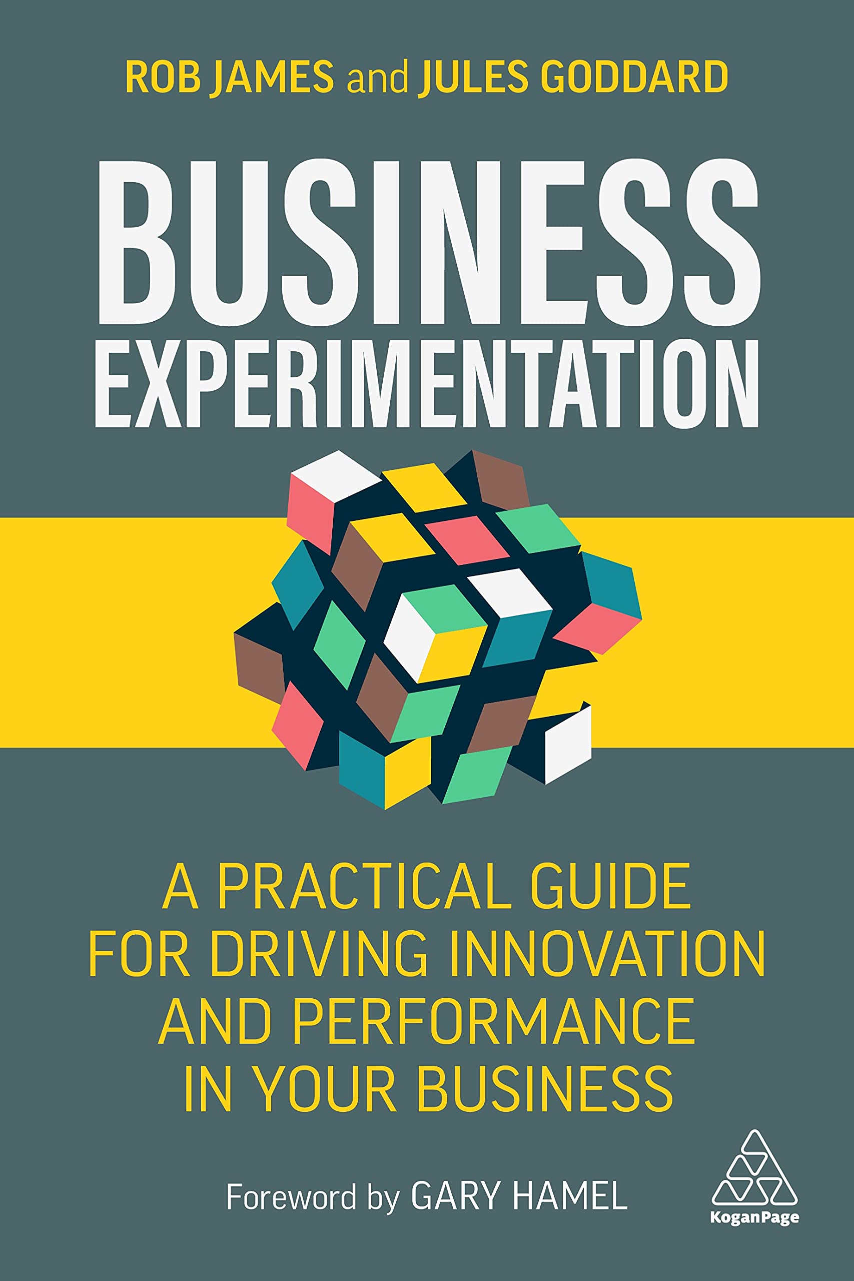 Business Experimentation: A Practical Guide for Driving Innovation and Performance in Your Business Law