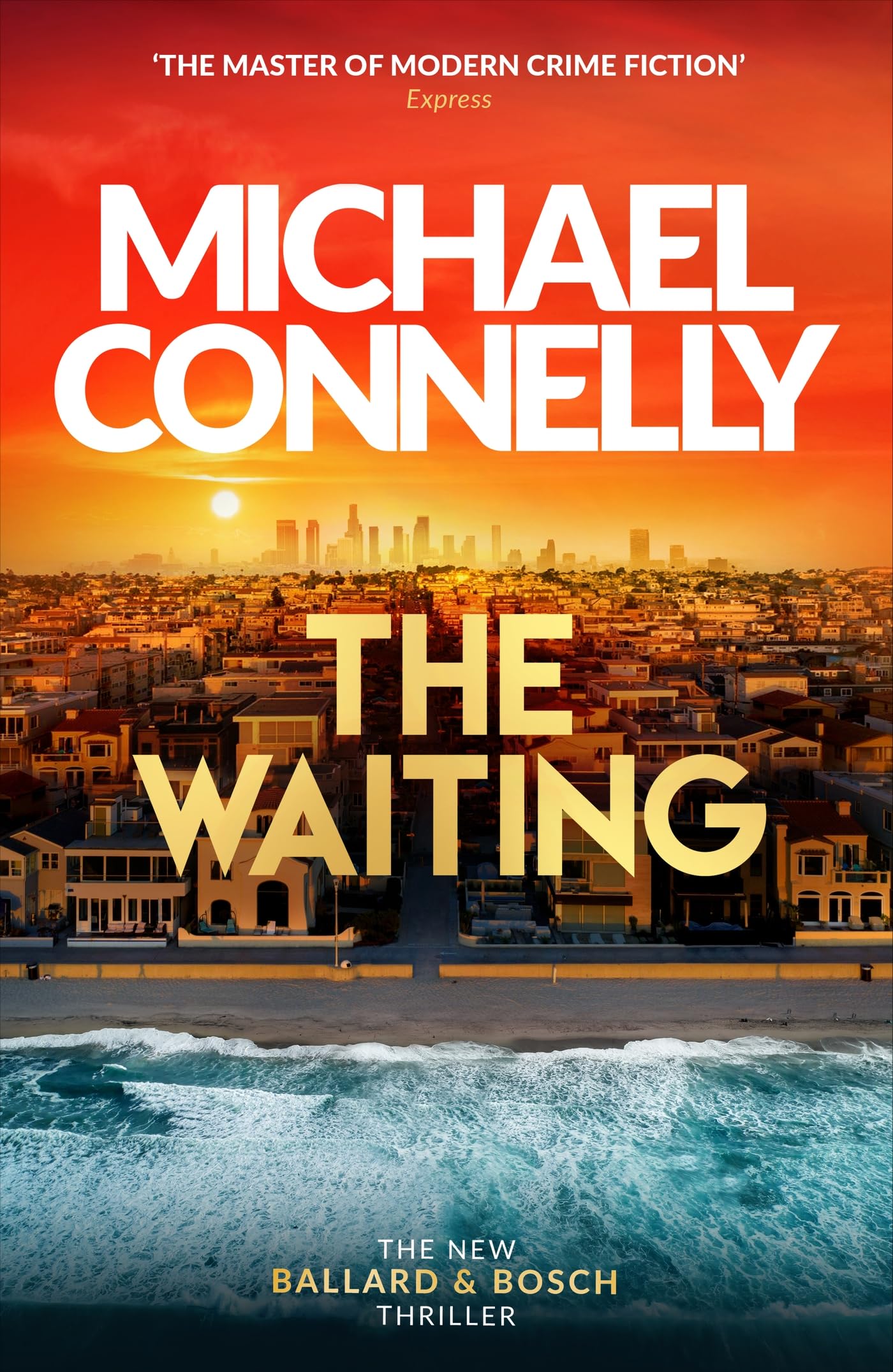 The Waiting Contemporary literature Books