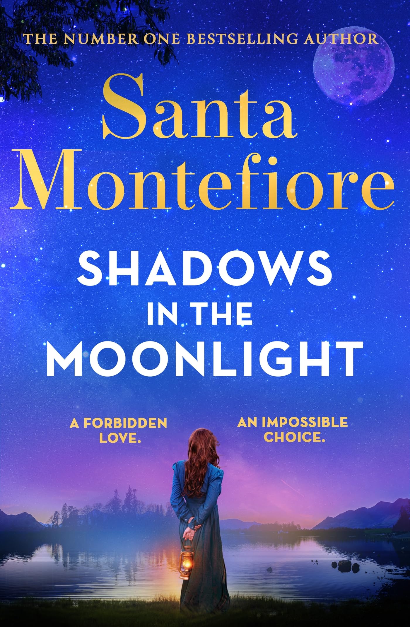 Shadows in the Moonlight: The sensational and devastatingly romantic novel from the number one bestselling author! (Timeslider) Contemporary literature