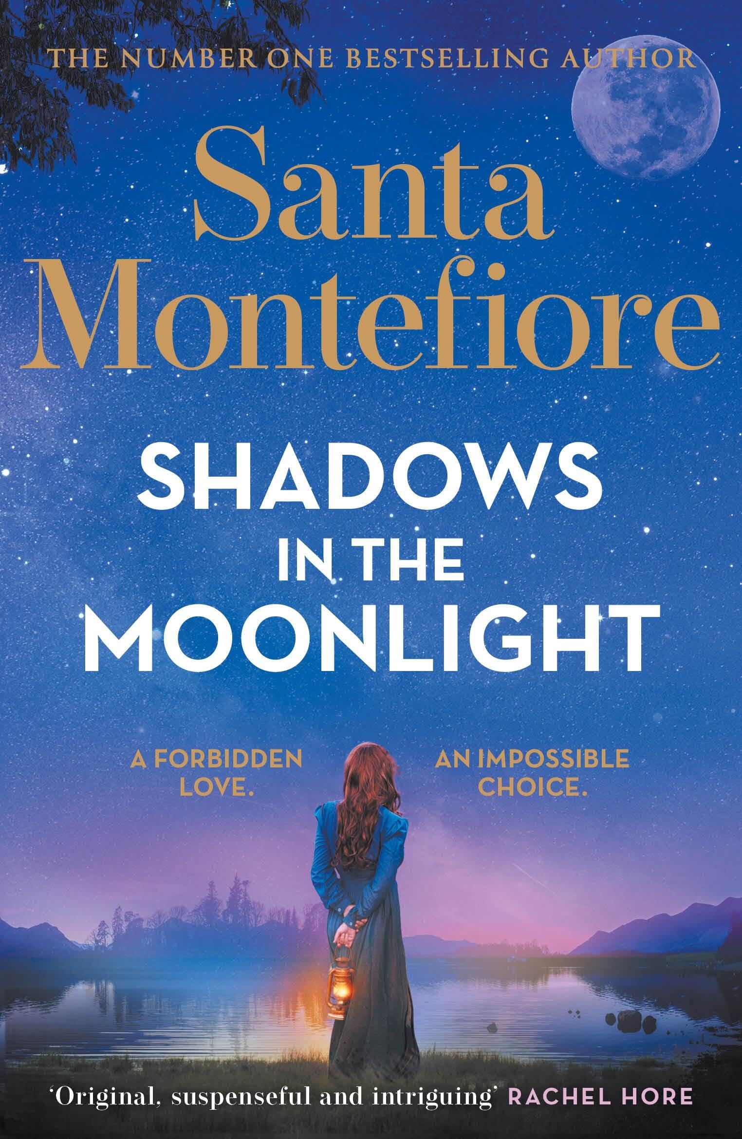 Shadows in the Moonlight Contemporary literature Books