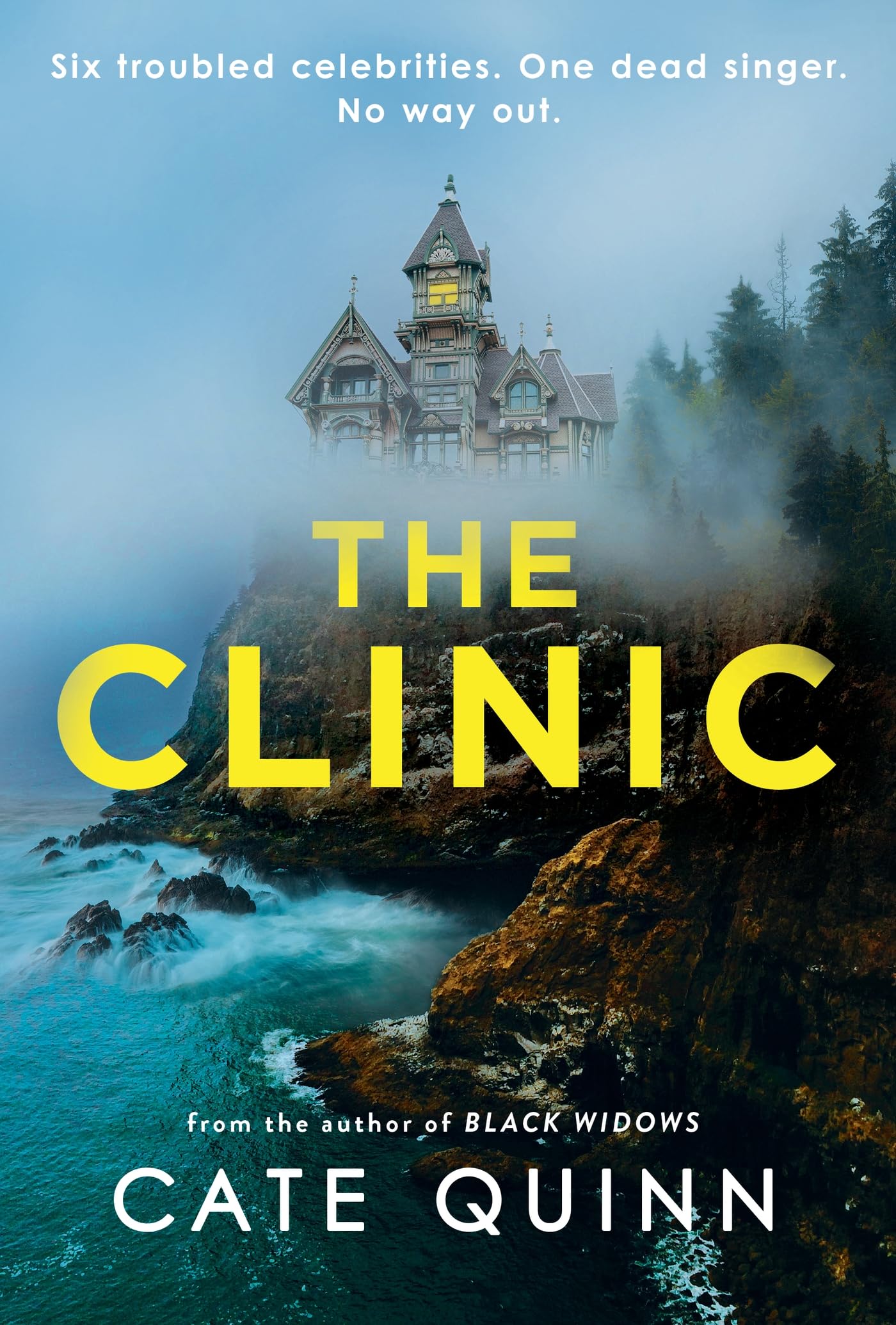 The Clinic: The compulsive new thriller from the critically acclaimed author of Black Widows Law