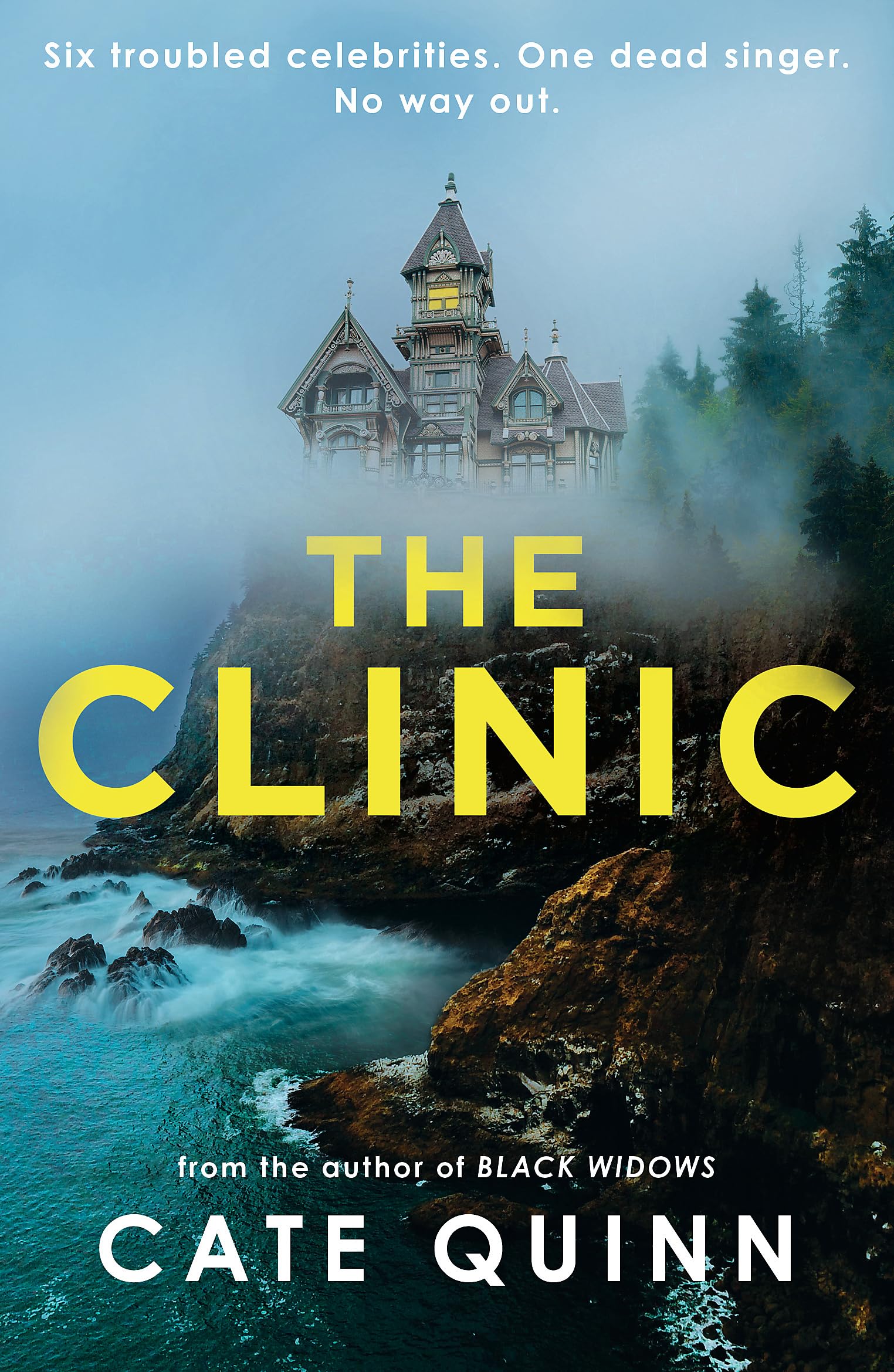 The Clinic: The compulsive thriller from the critically acclaimed author of Black Widows Law