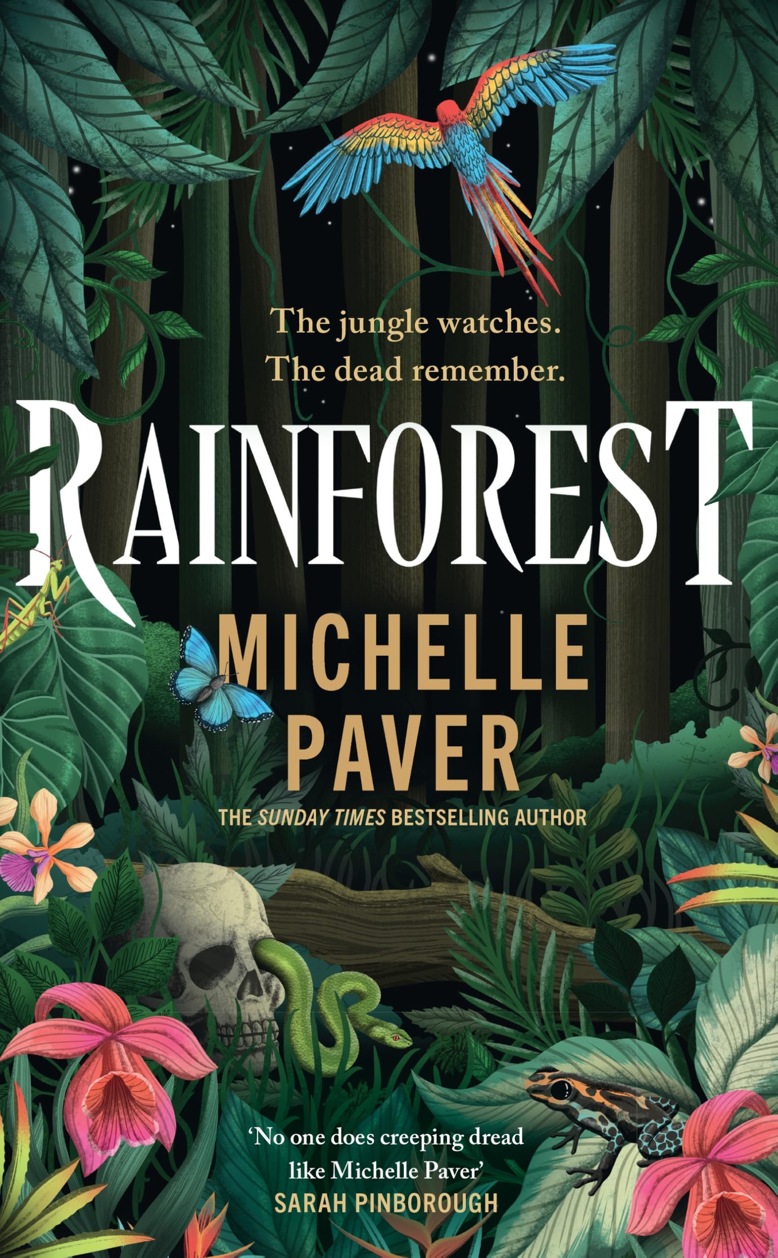 Rainforest: The incredible new novel from Sunday Times bestseller Michelle Paver Horror & Mystery