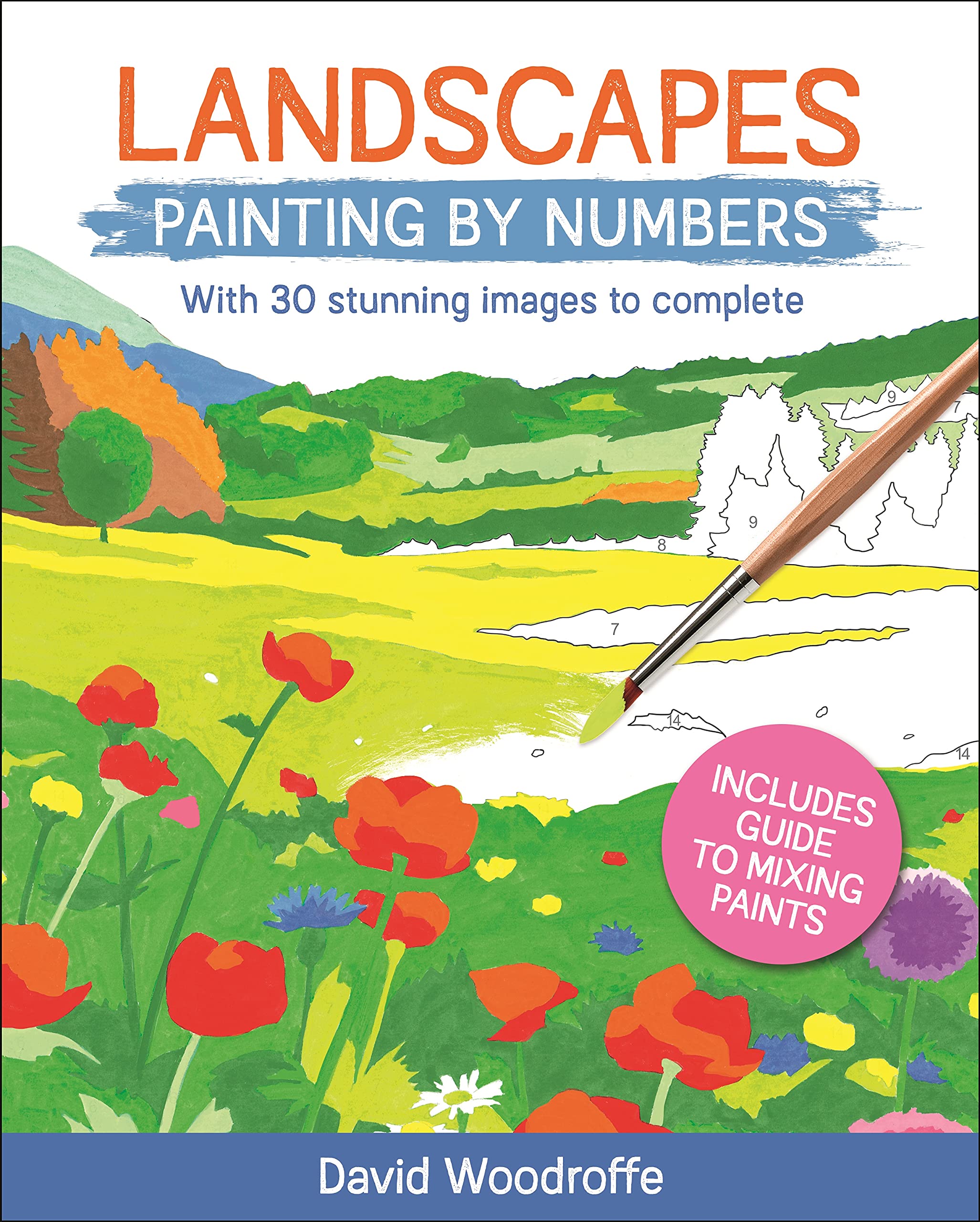 Landscapes Painting by Numbers: With 30 Stunning Images to Complete. Includes Guide to Mixing Paints (Sirius Painting by Numbers) Film, Art & Culture