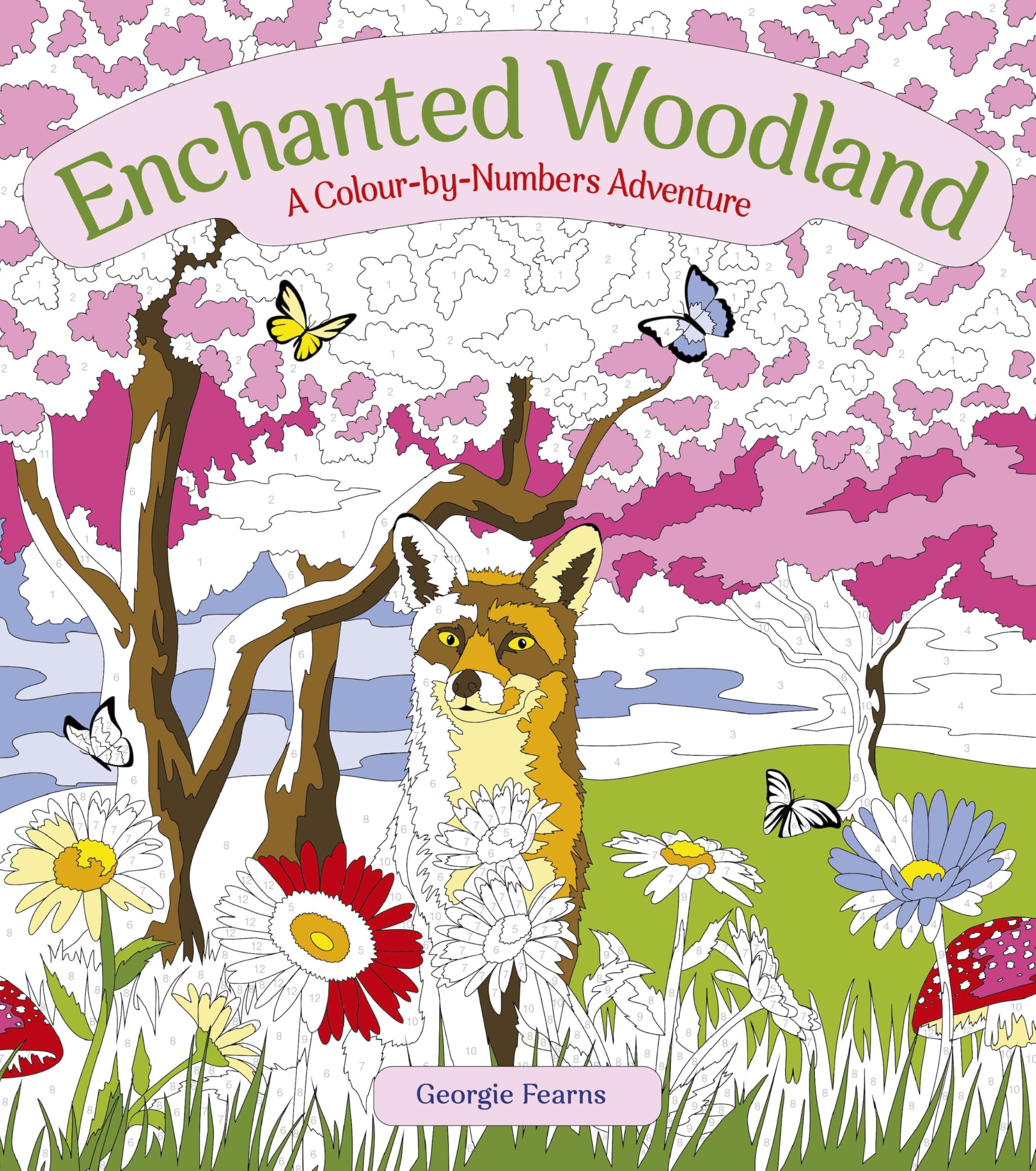 Enchanted Woodland: A Colour-by-Numbers Adventure (Arcturus Creative Colour by Numbers) Leisure, Home & Garden