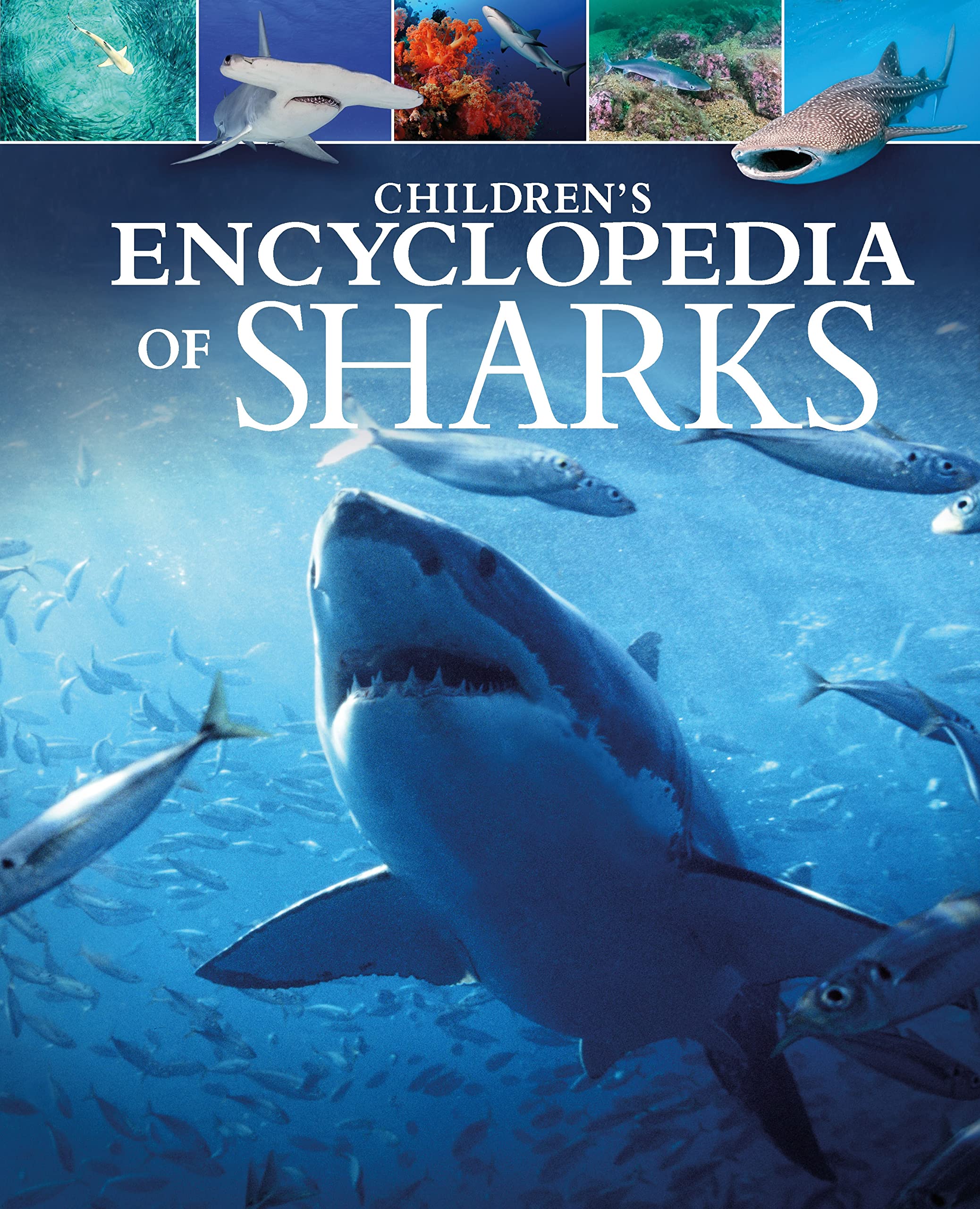 Children's Encyclopedia of Sharks (Arcturus Children's Reference Library) Learning & Reference