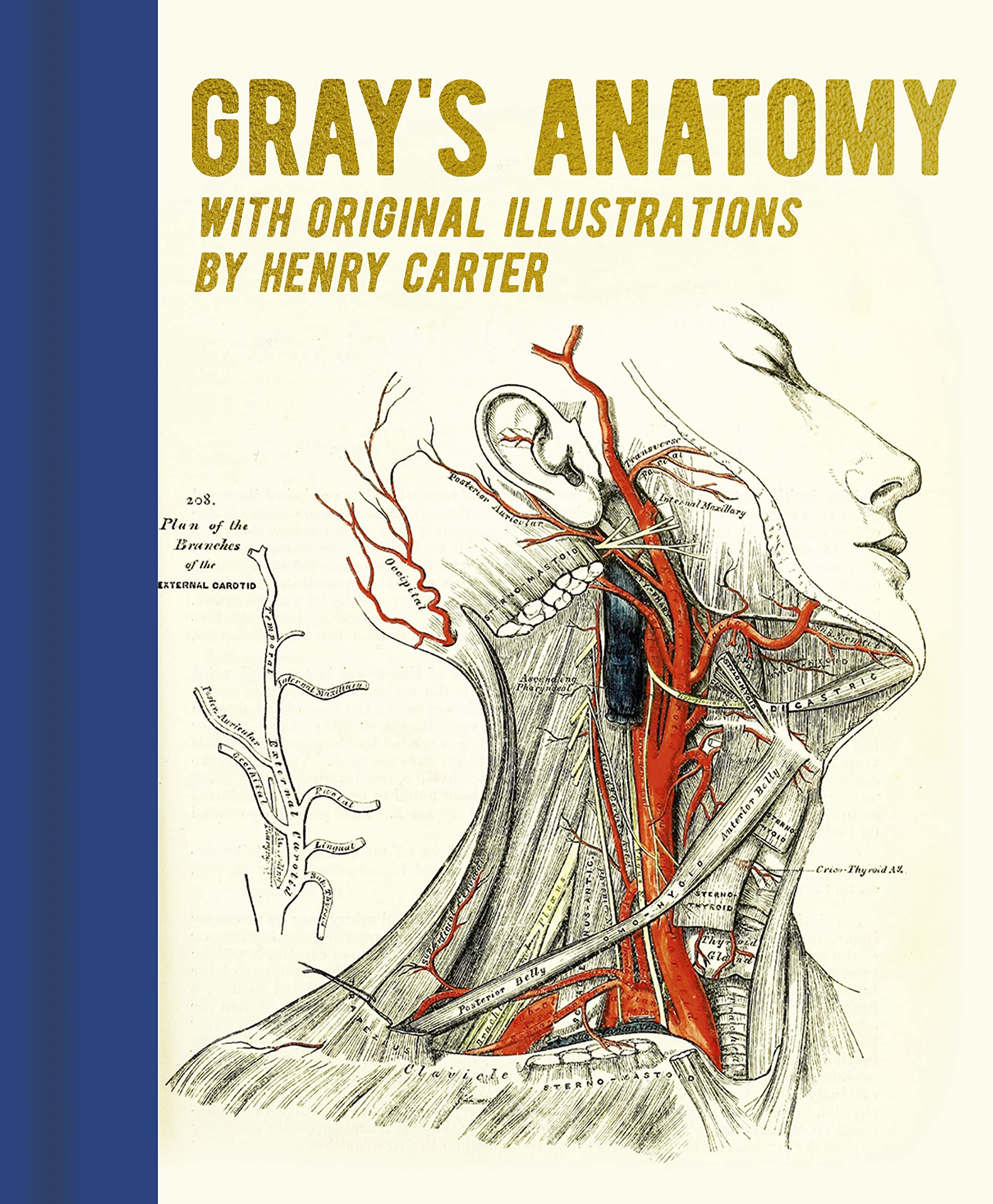 Gray's Anatomy: With Original Illustrations by Henry Carter (Arcturus Gilded Classics) Medicine